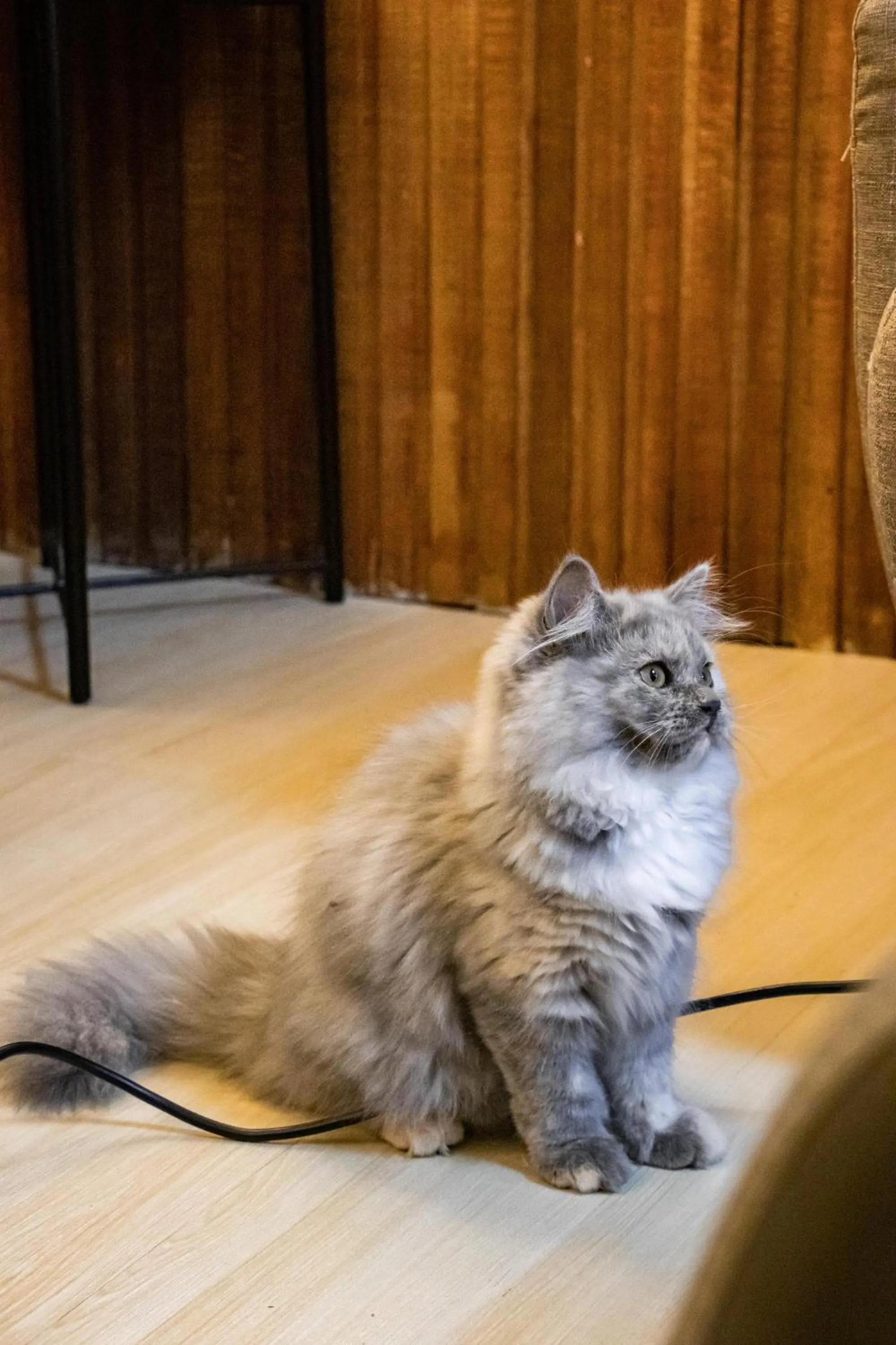 Living room in Timba Garden FREE TOWN AND JETTY TRANSPORT