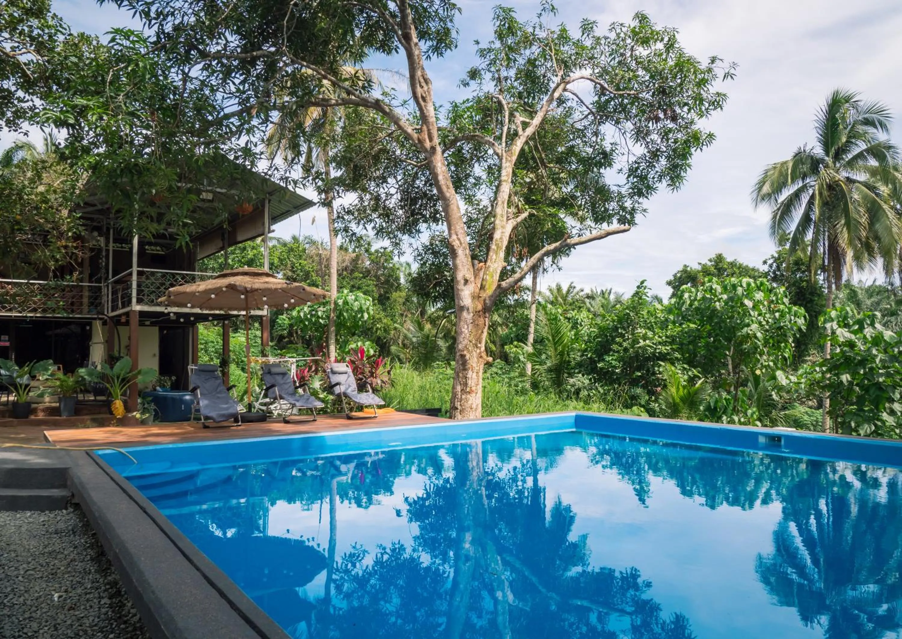 Swimming pool in Timba Garden FREE TOWN AND JETTY TRANSPORT