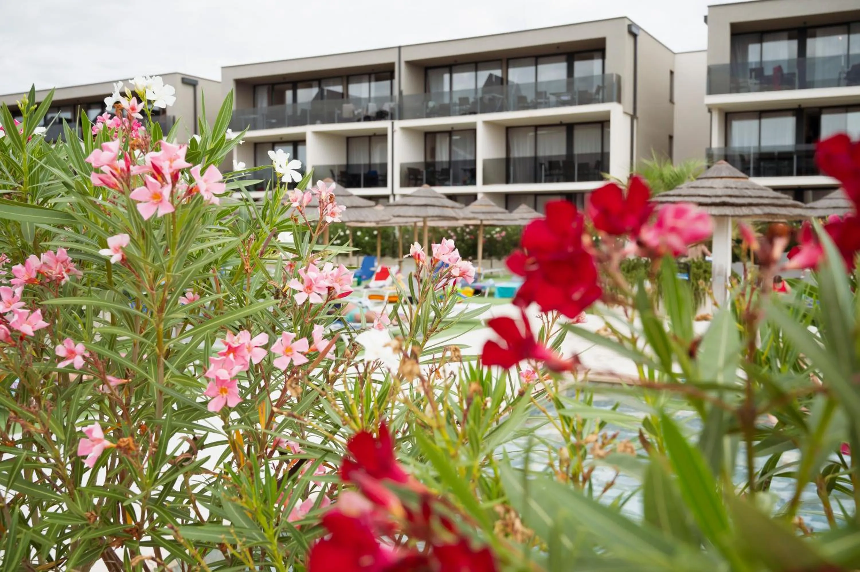 Property building in Residence Del Mar Emotion