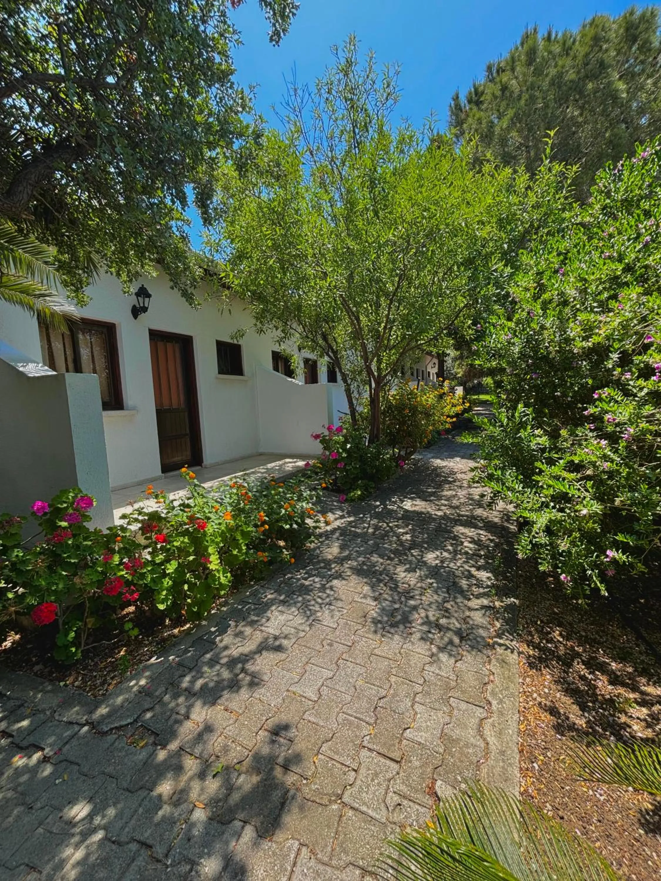 Bare Hill Holiday Apartments