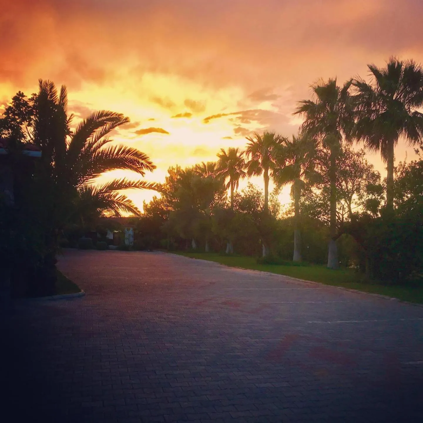 Natural landscape in Bare Hill Holiday Apartments