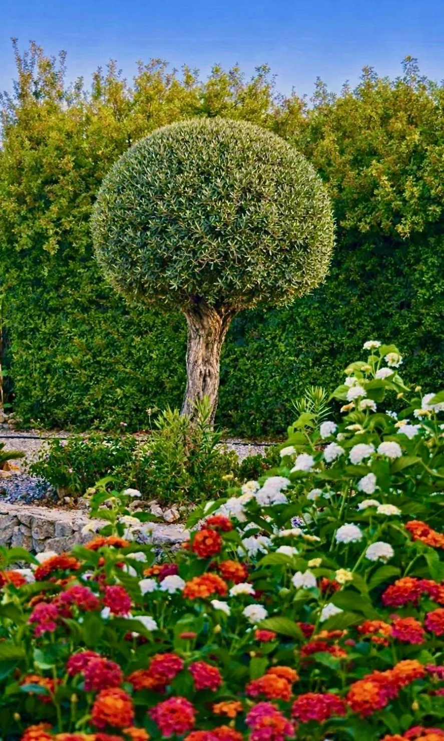 Garden in Bare Hill Holiday Apartments