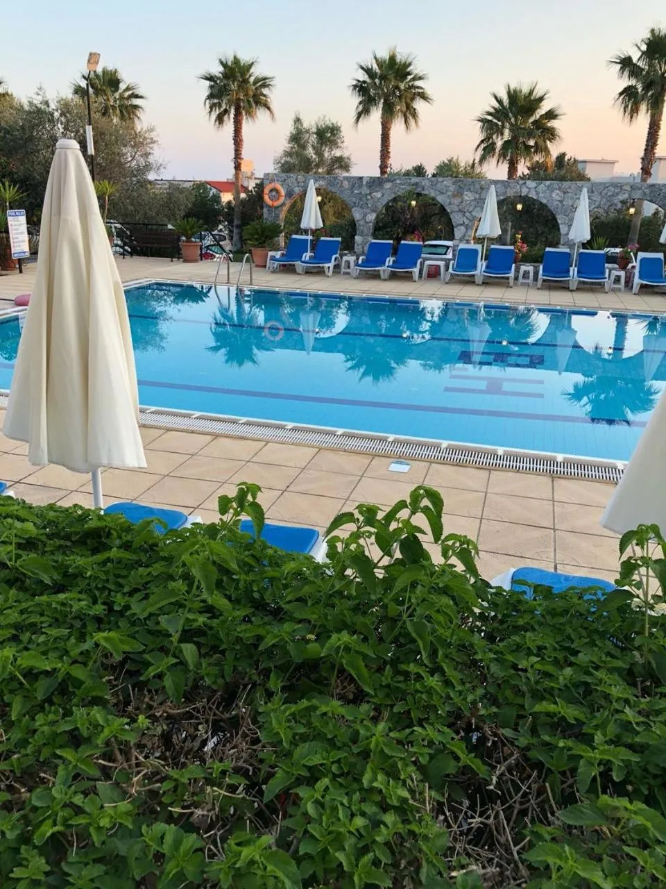 Swimming pool in Bare Hill Holiday Apartments