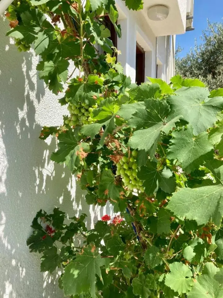Garden in Bare Hill Holiday Apartments