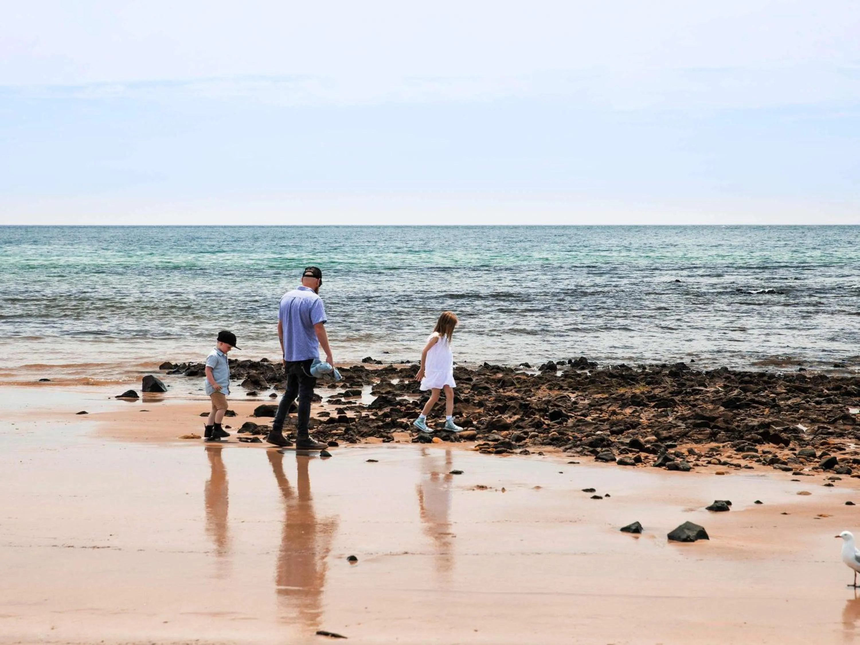 Other in Novotel Devonport