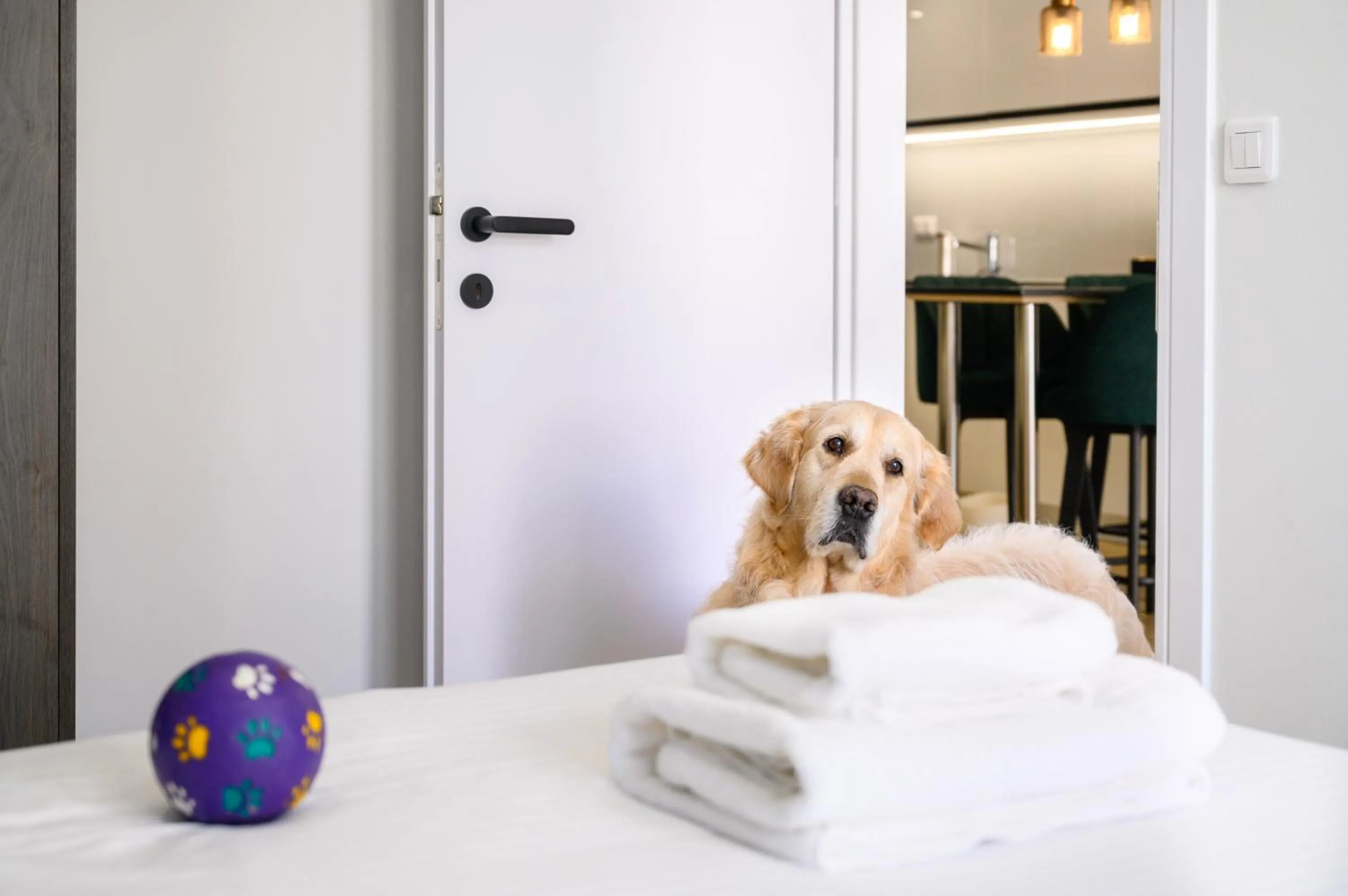 Pets in Hestia - Dimitressa 4