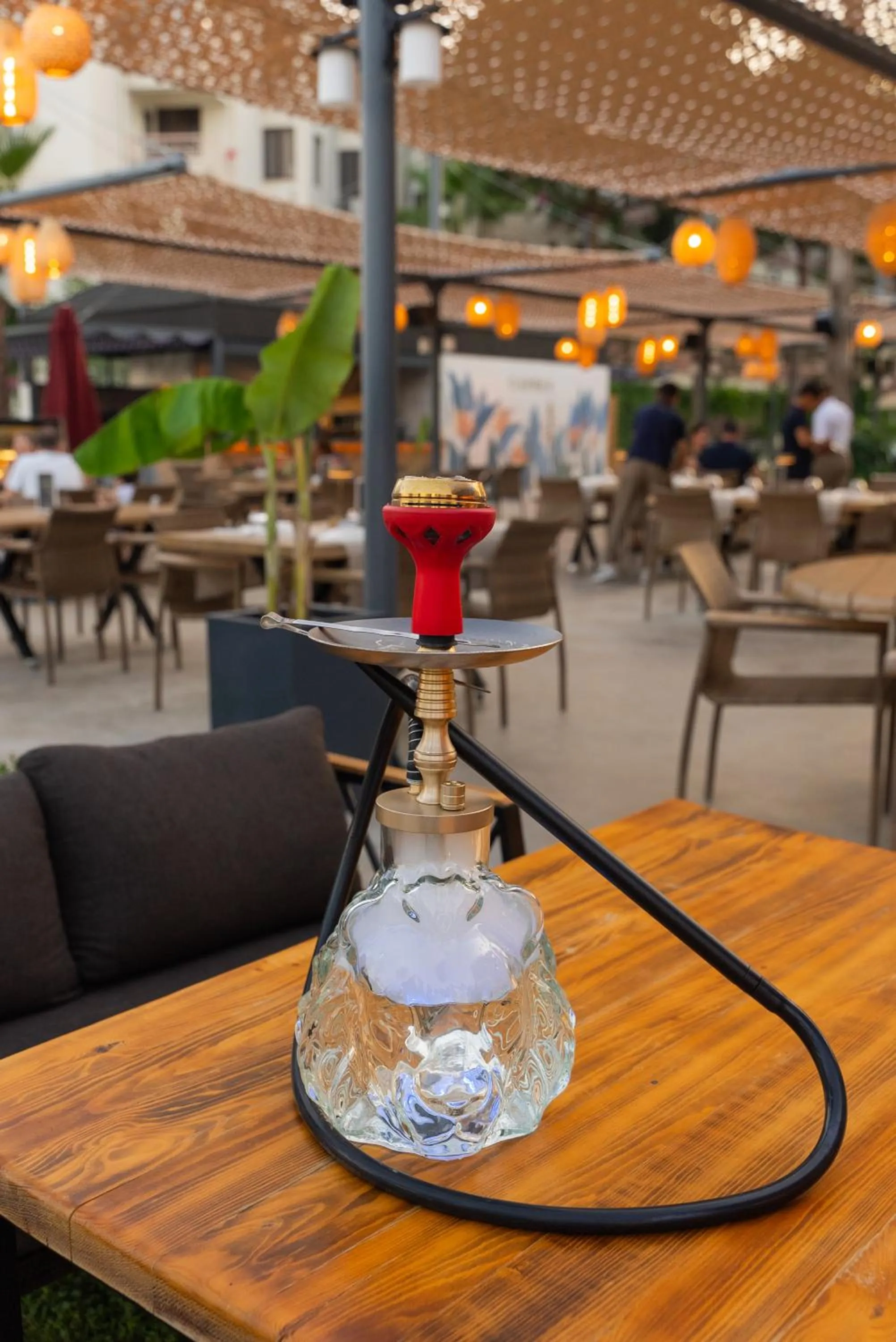 Restaurant/places to eat in Hotel Caprea