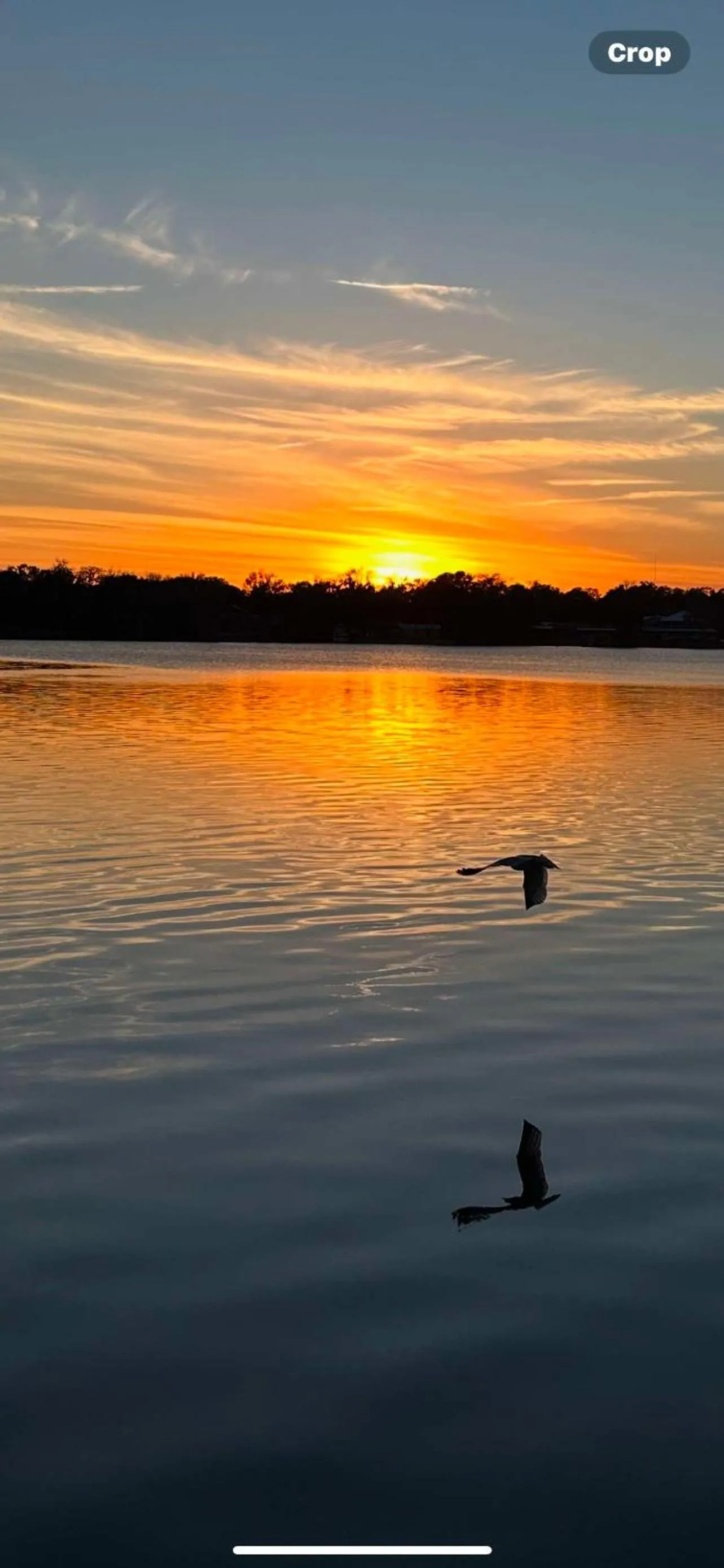 Tropical Marina & Resort on Lake Beresford