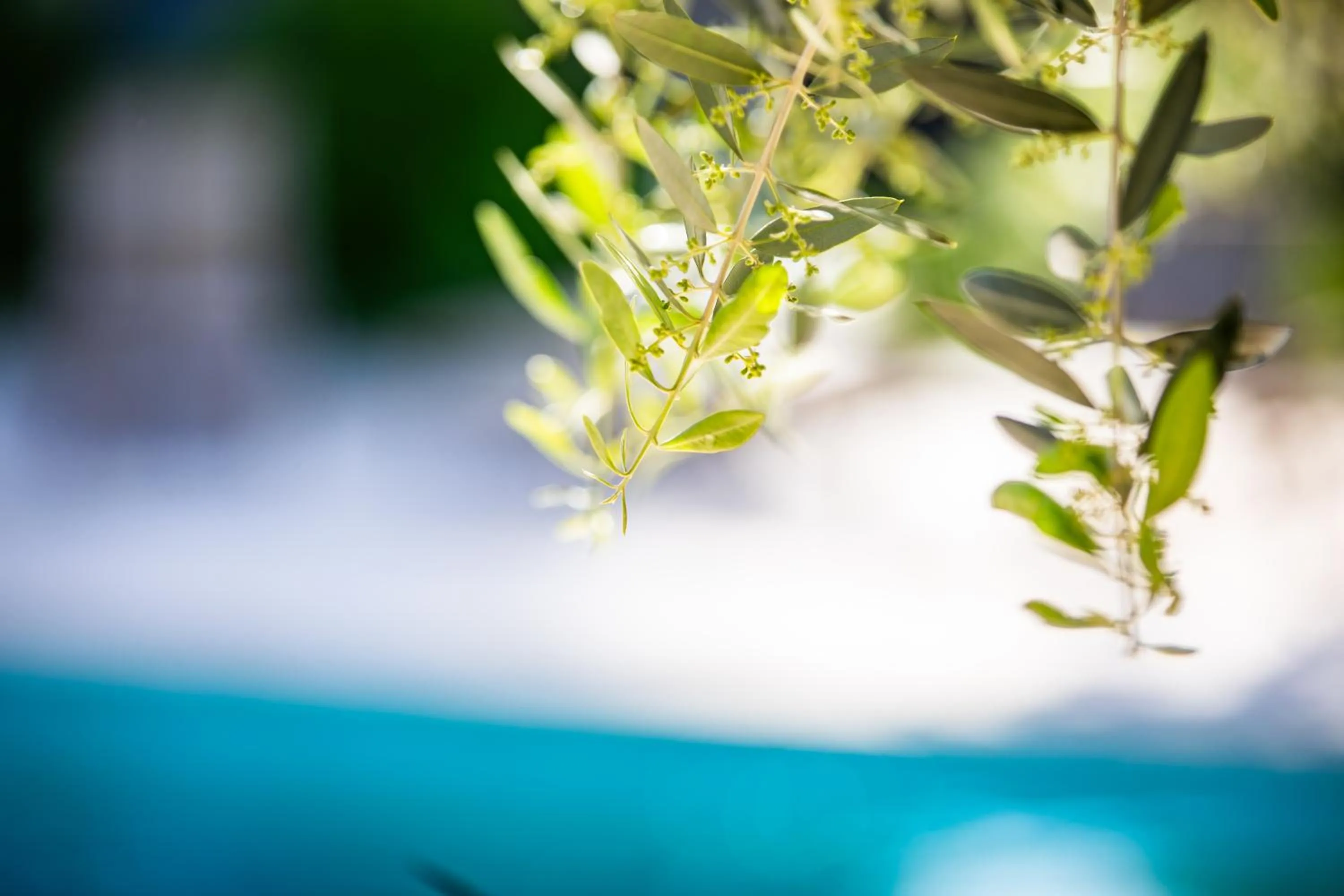 Property building in La Bastide du Mûrier