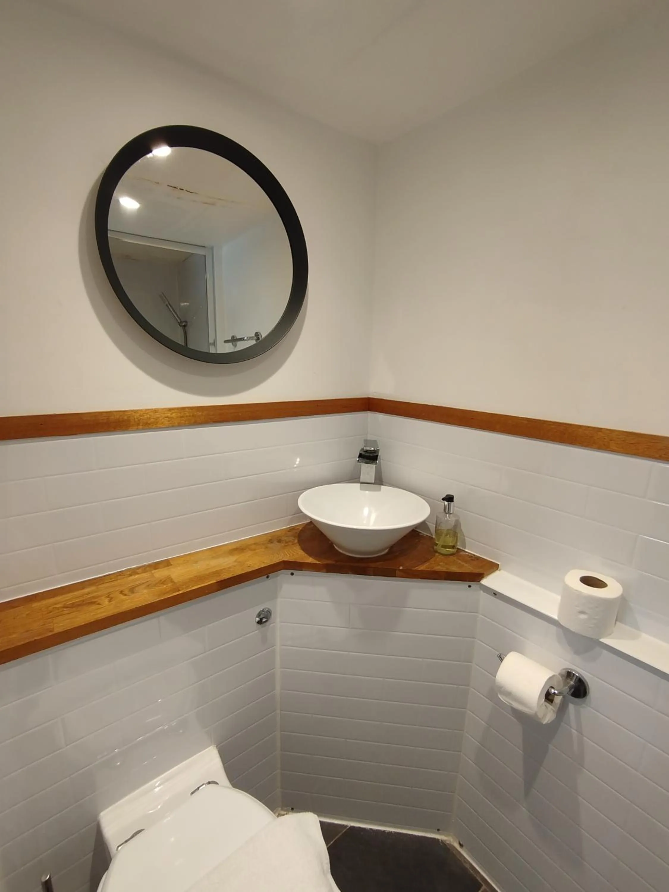 Toilet in The Willows