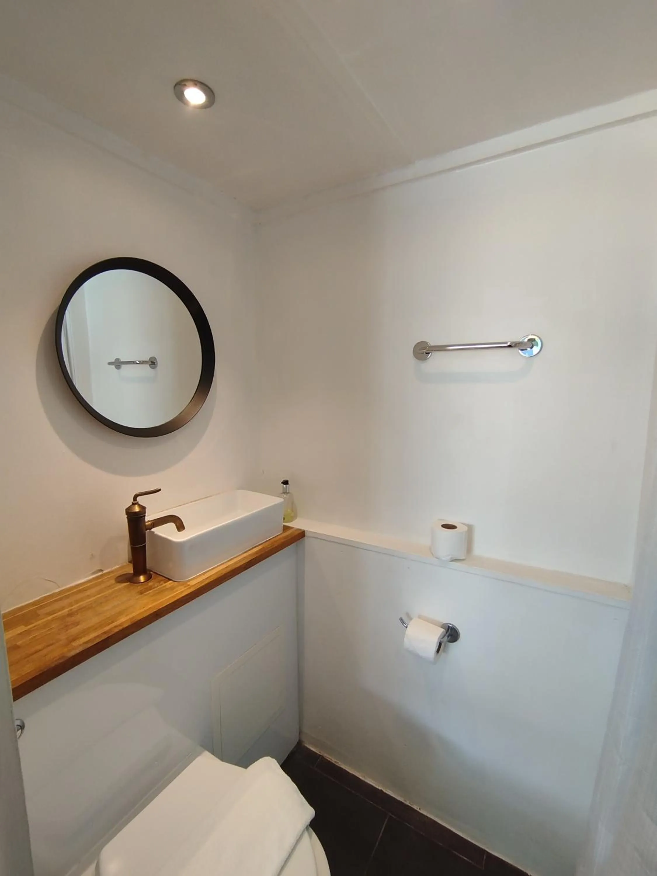 Toilet in The Willows