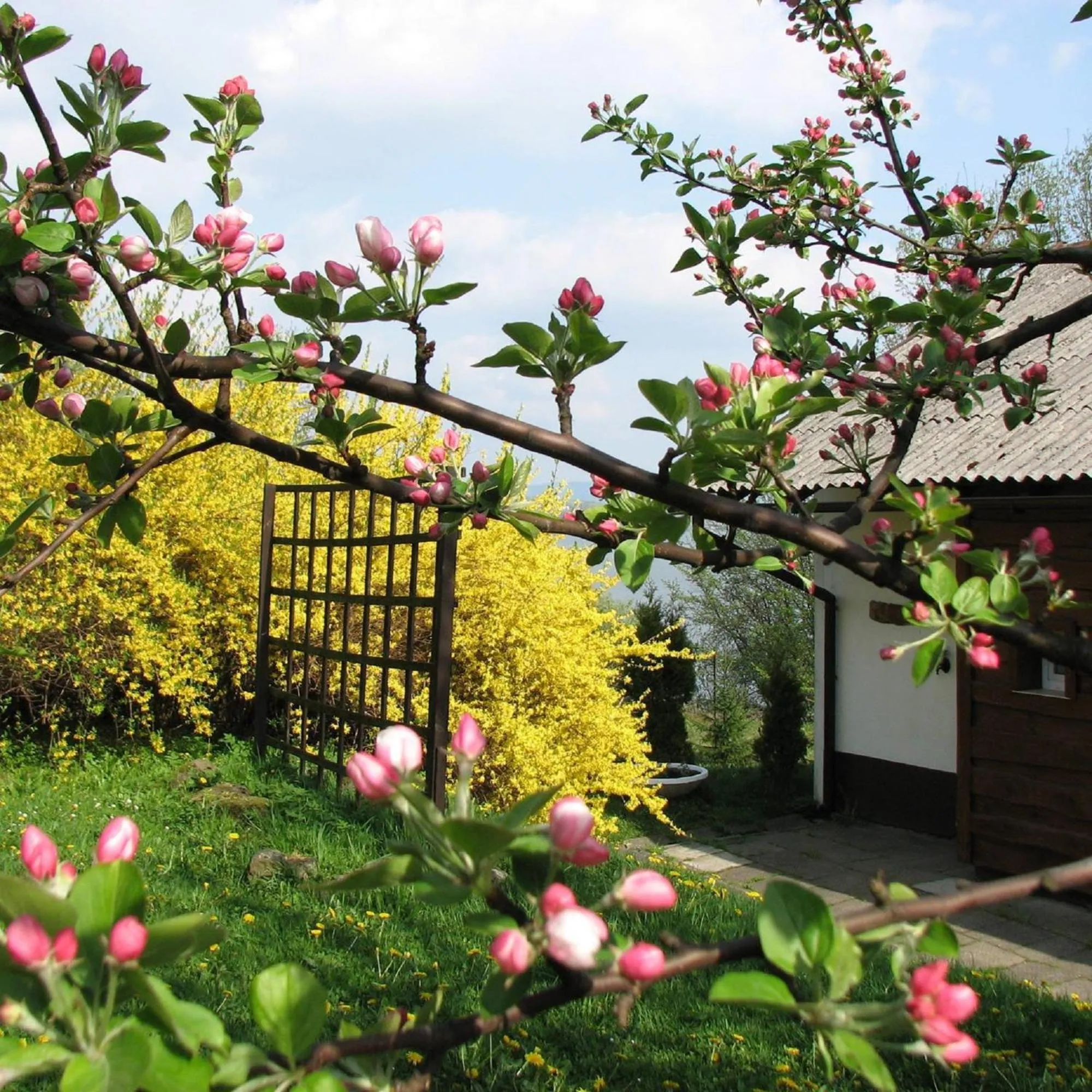 Property building in Centrum Wypoczynku ODYS