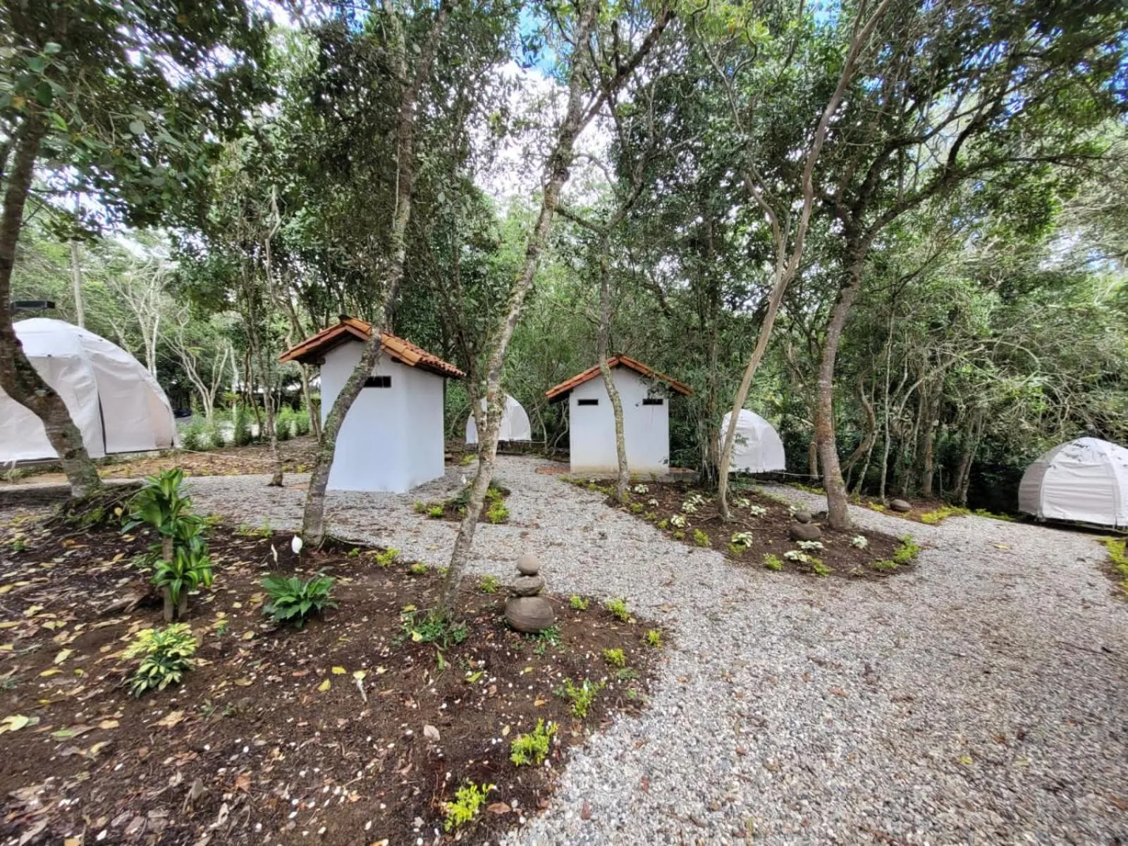 Garden in Hotel Cariguá