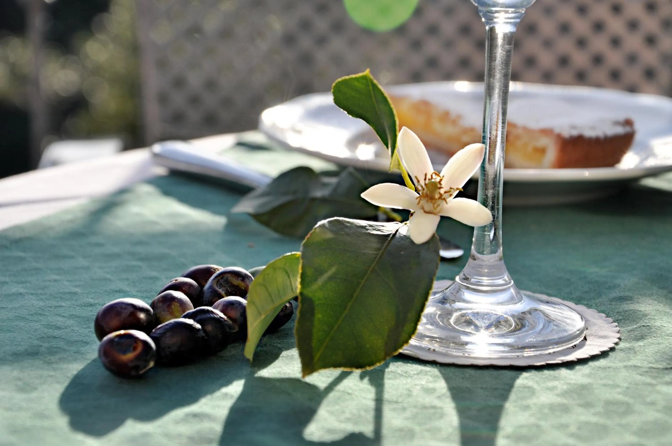 Restaurant/places to eat in Hotel Al Terra Di Mare