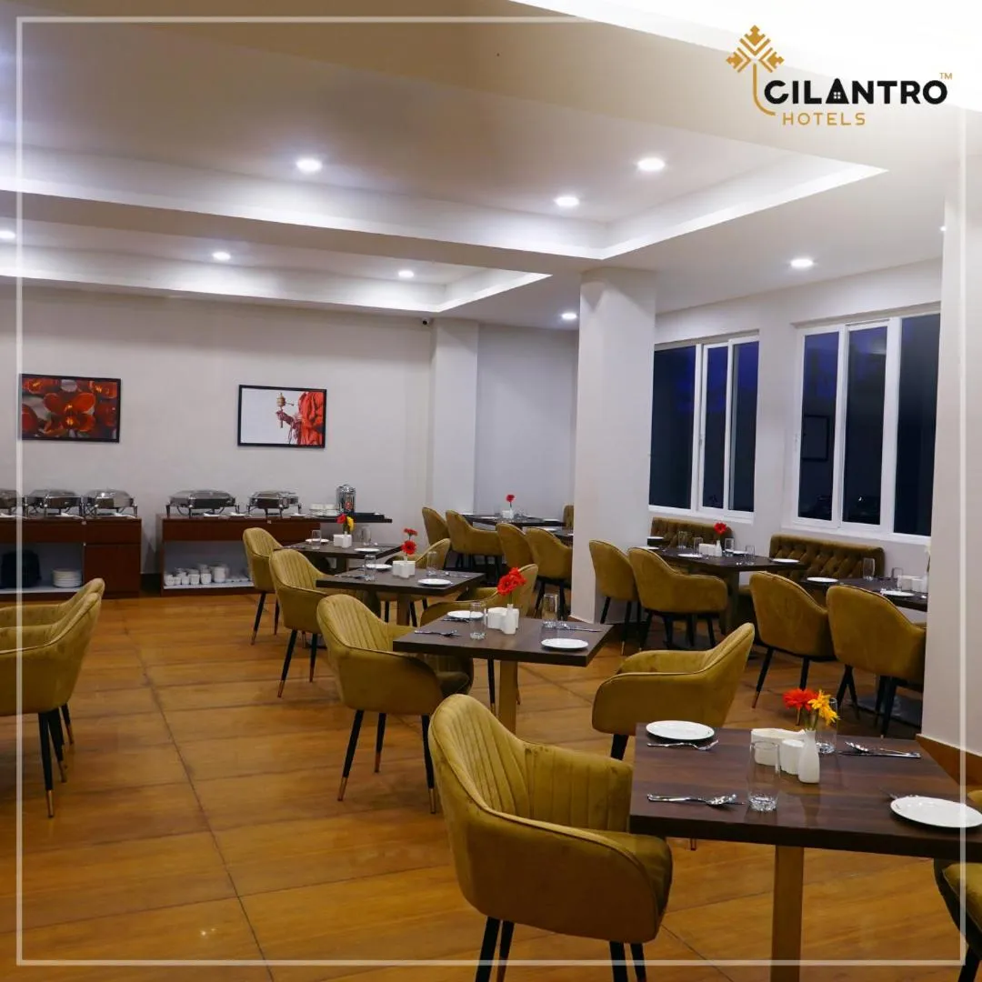 Restaurant/places to eat in Cilantro Comfort