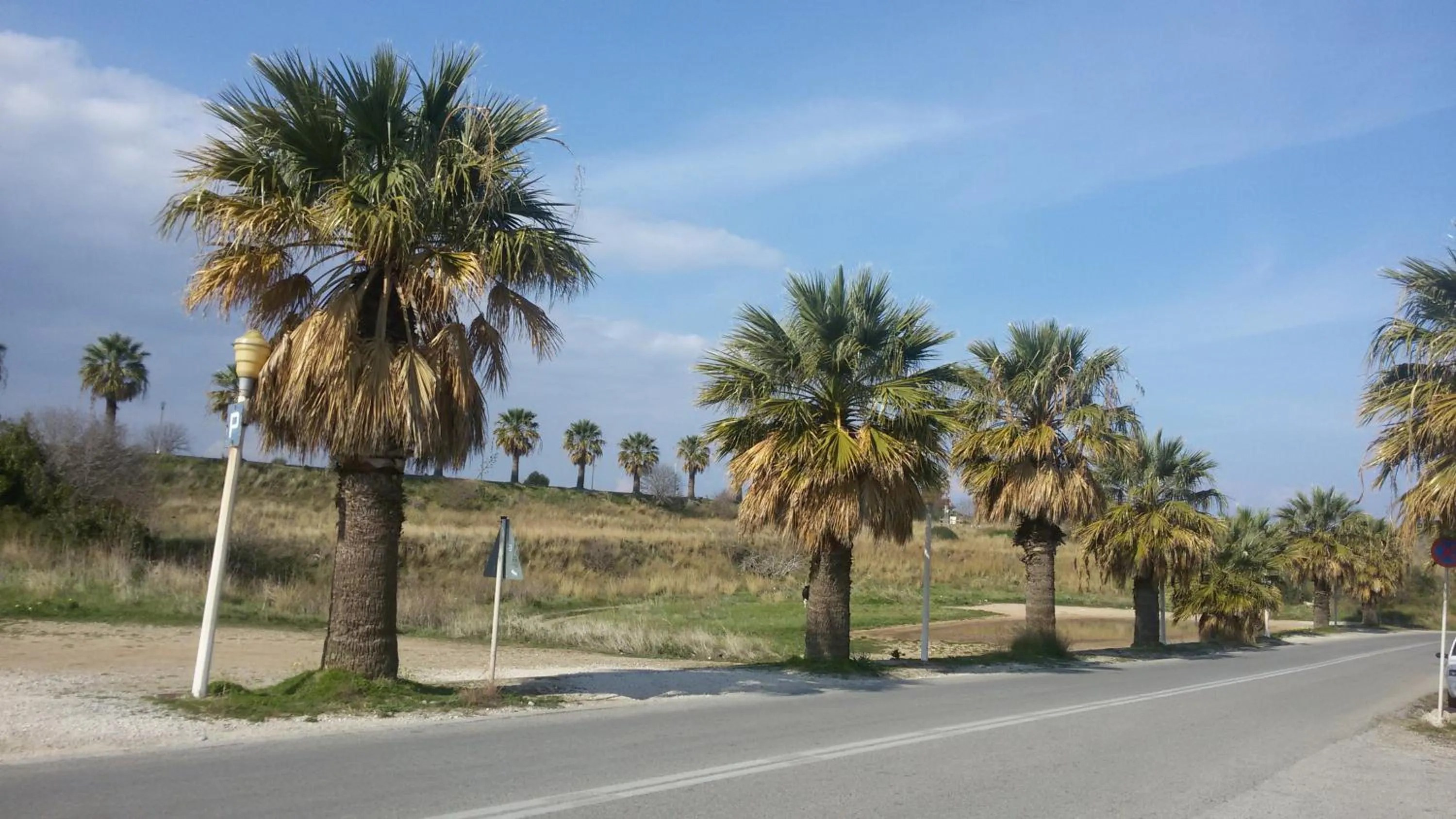 Natural landscape in Emmanuel Apartments