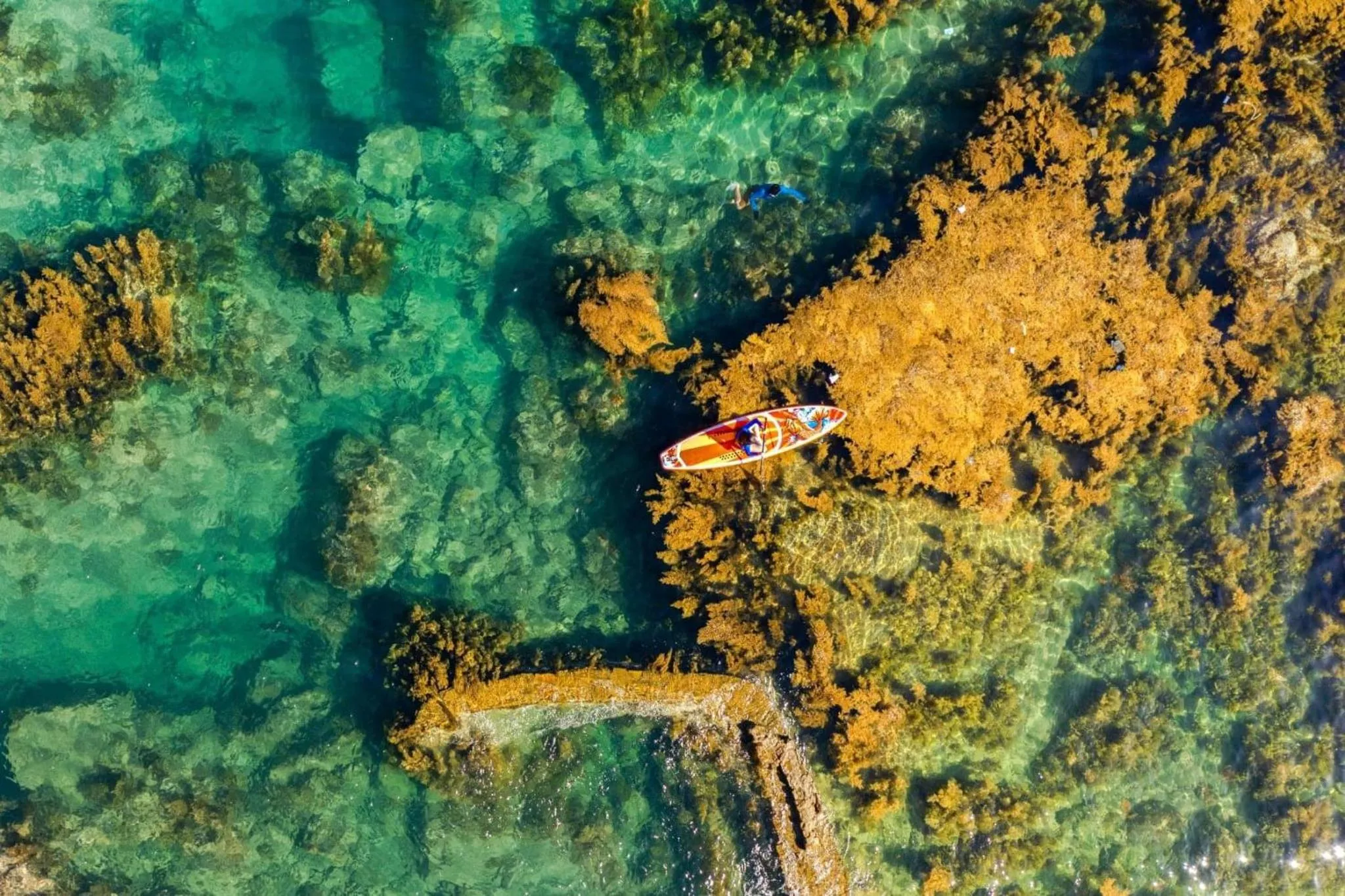 Natural landscape in HAKU Boutique Hotel Quy Nhơn Kim Đồng - Xuân Diệu