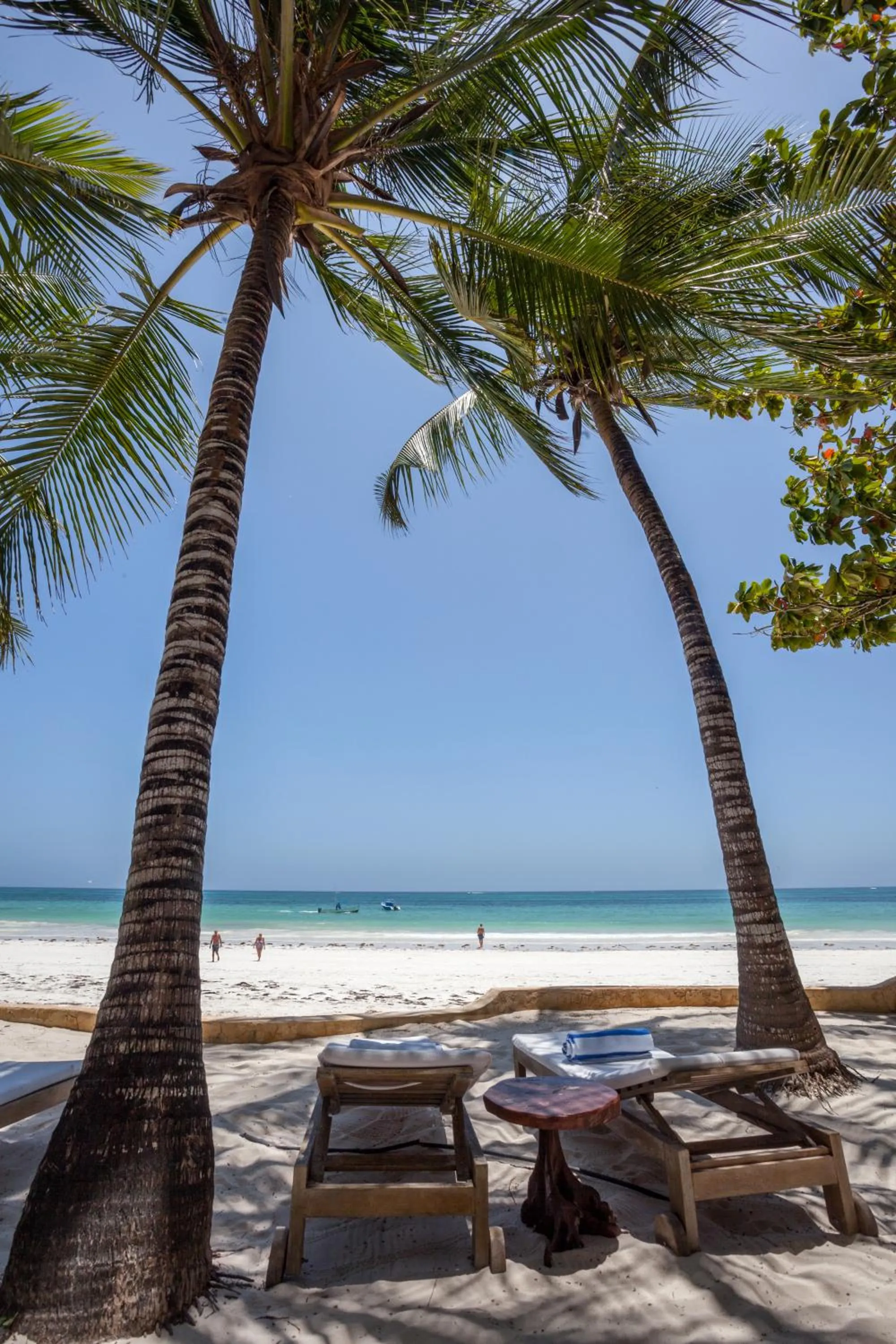 Beach in Blue Marlin Beach Hotel