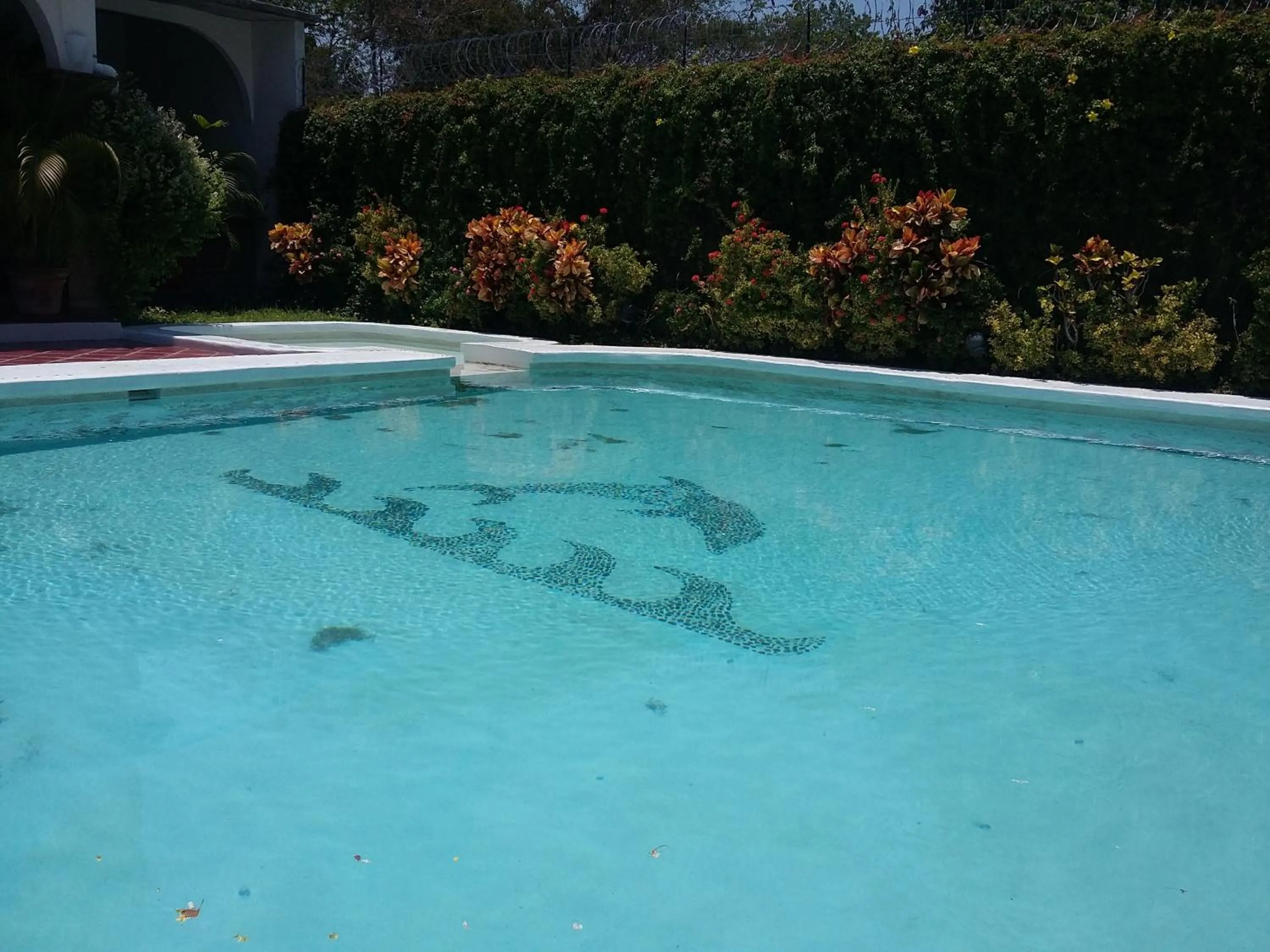Swimming pool in Balcon Gueela