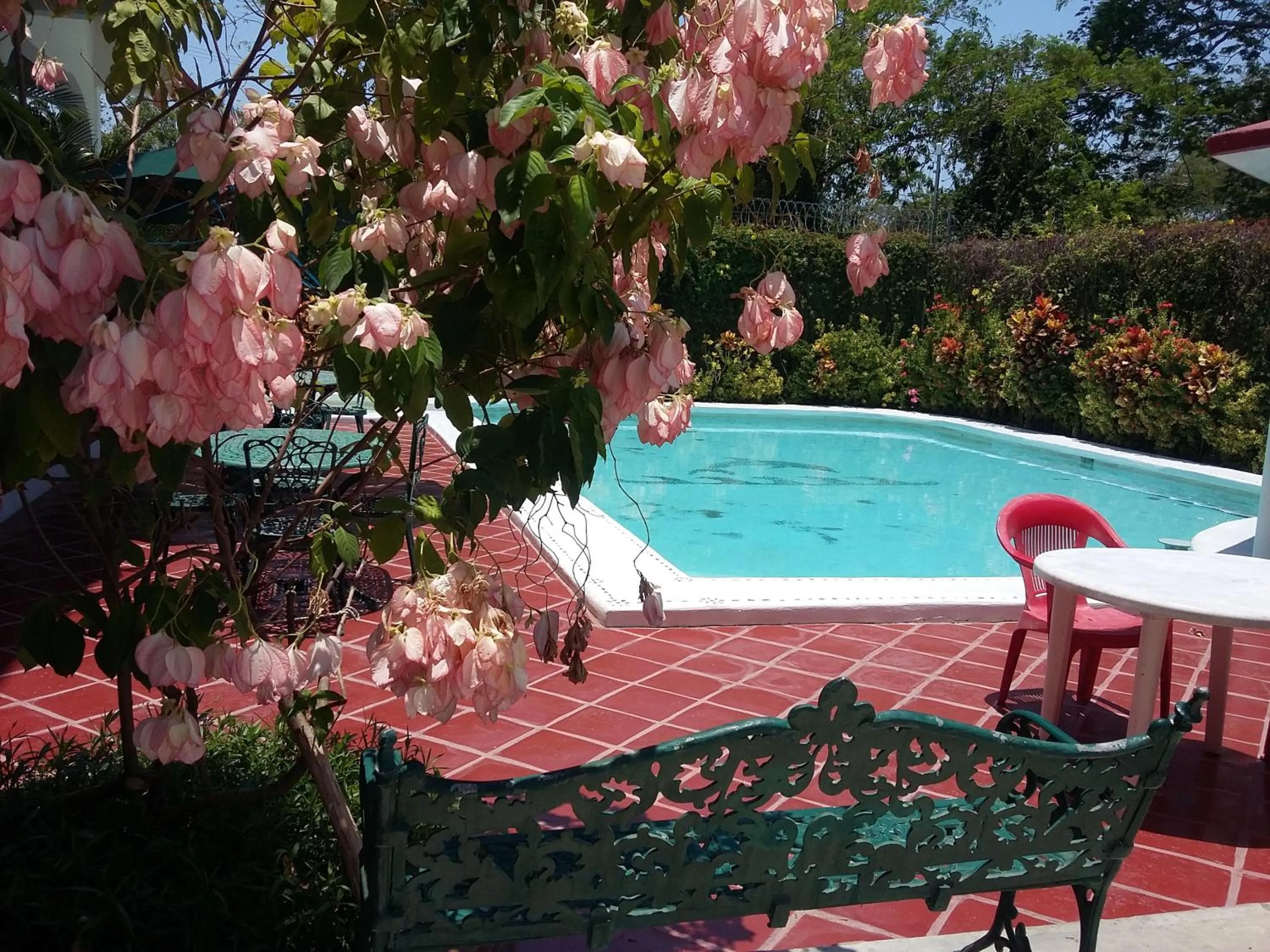 Garden view in Balcon Gueela