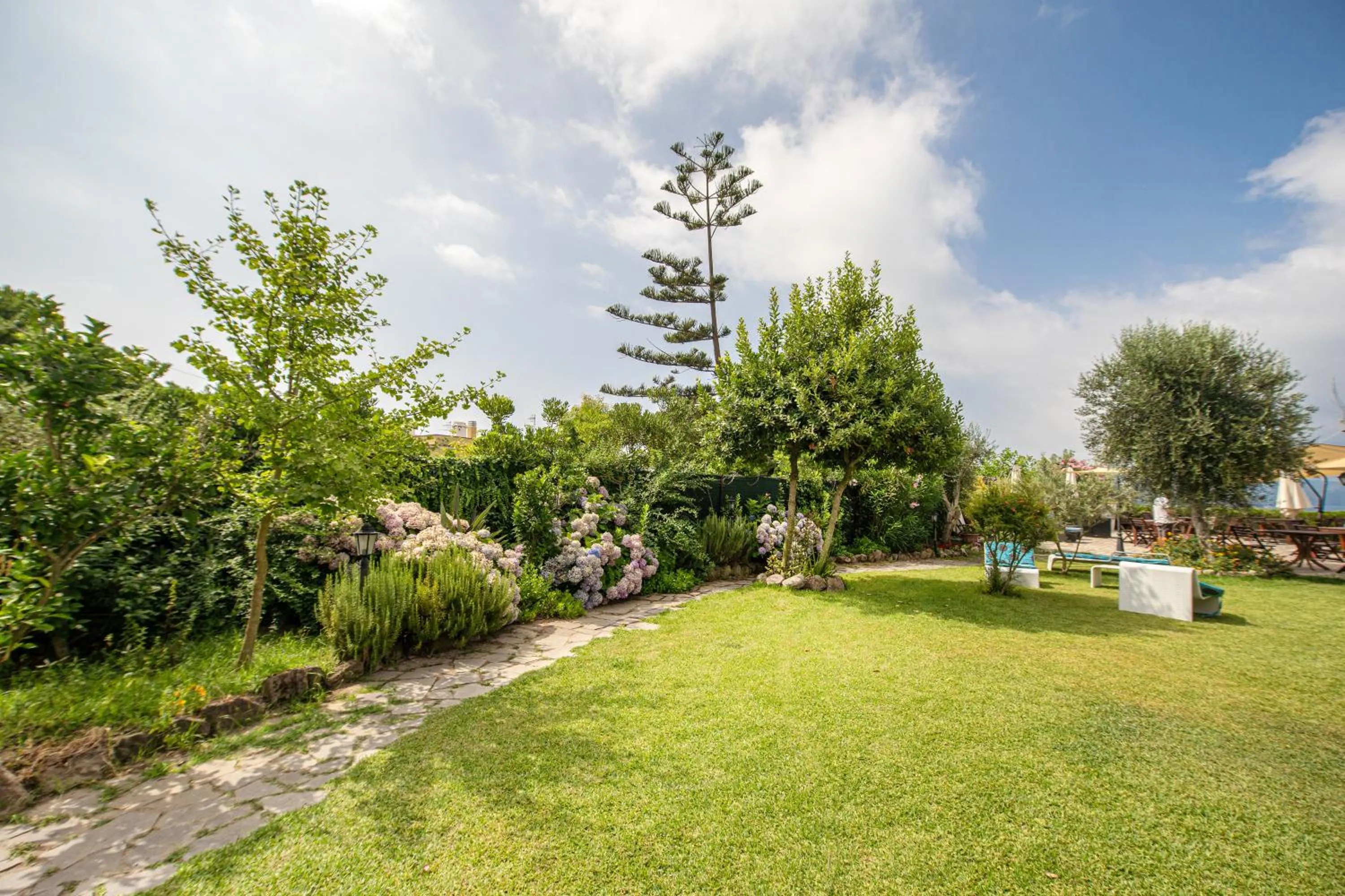 Property building in Solcalante