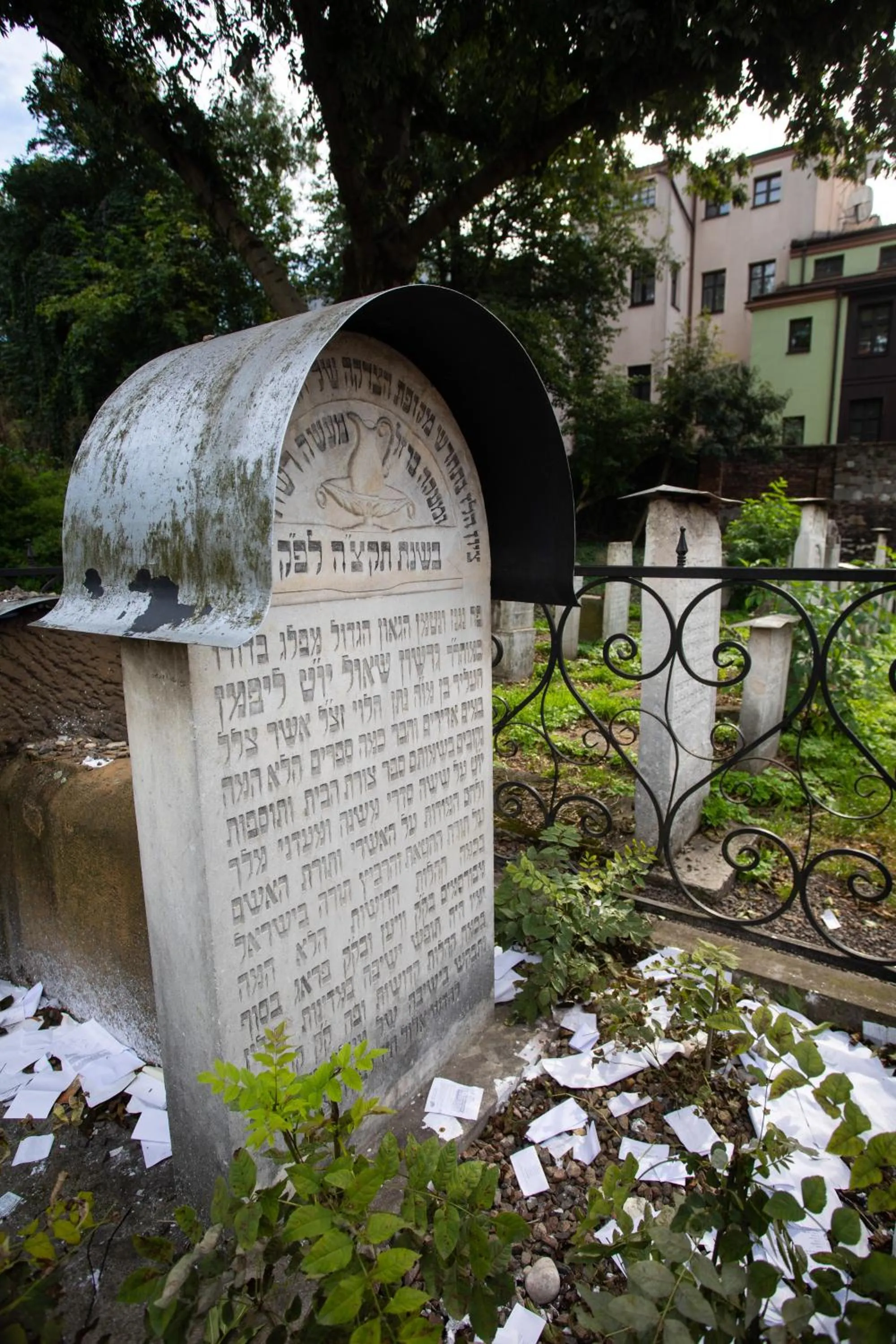 Garden view in David Boutique ApartHotel