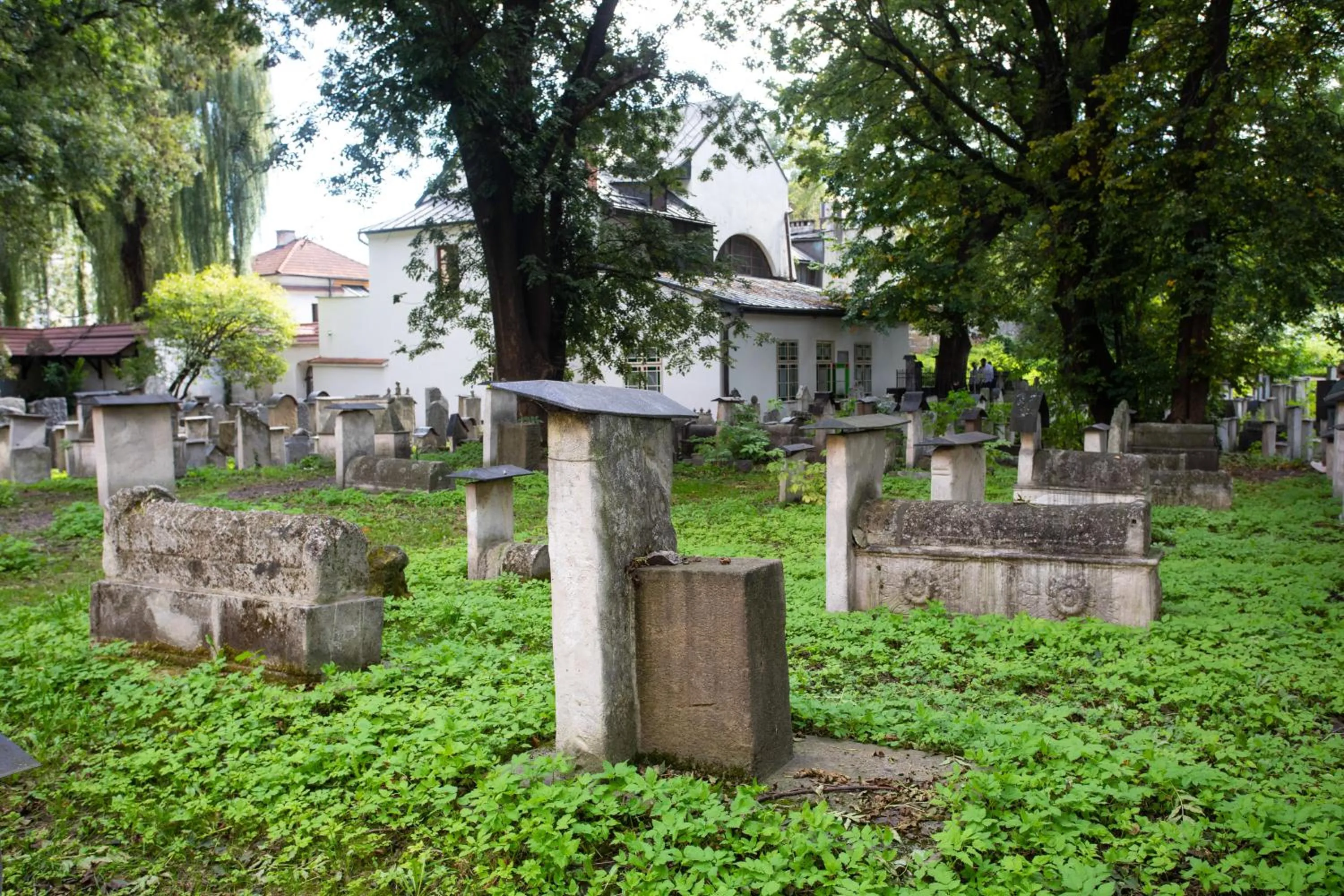 Garden view in David Boutique ApartHotel