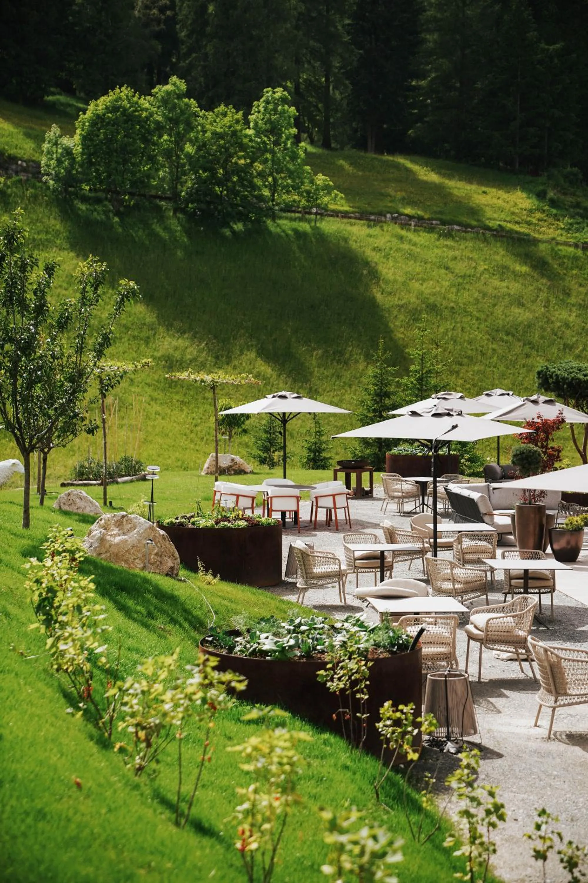 Garden in Badia Hill