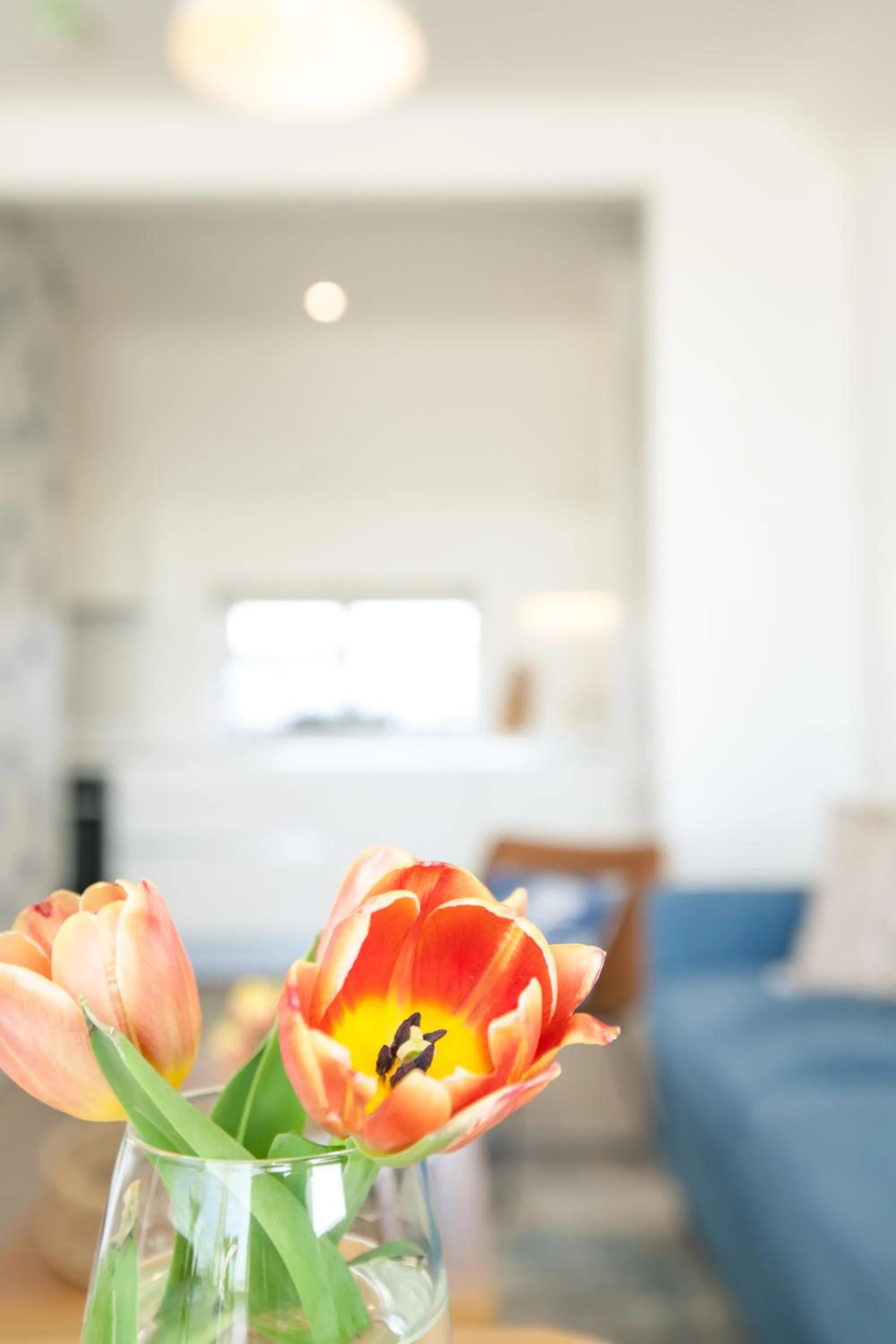 Bed in The Beach Escapes