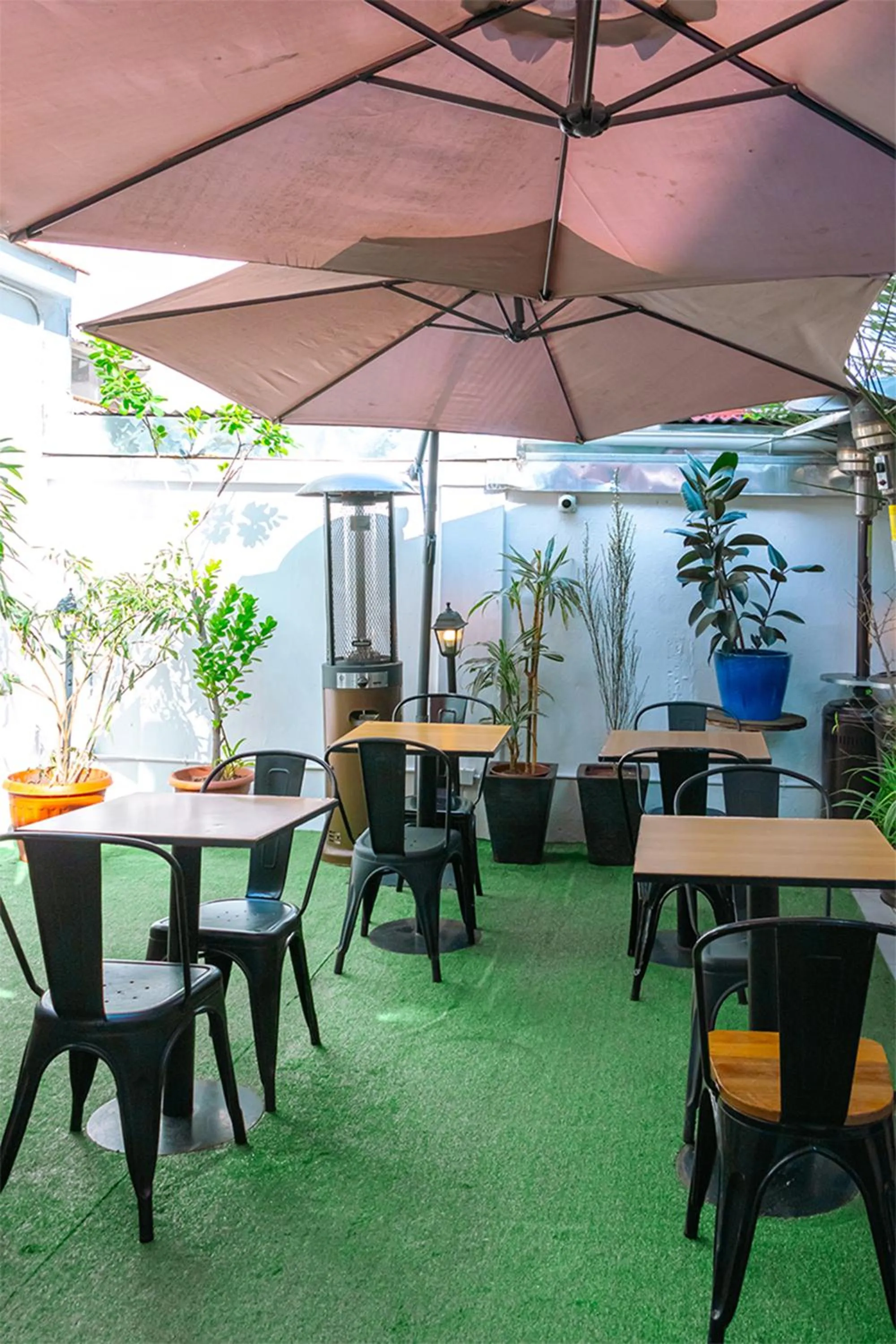 Patio in Tagle Casa del Lado Santiago Providencia