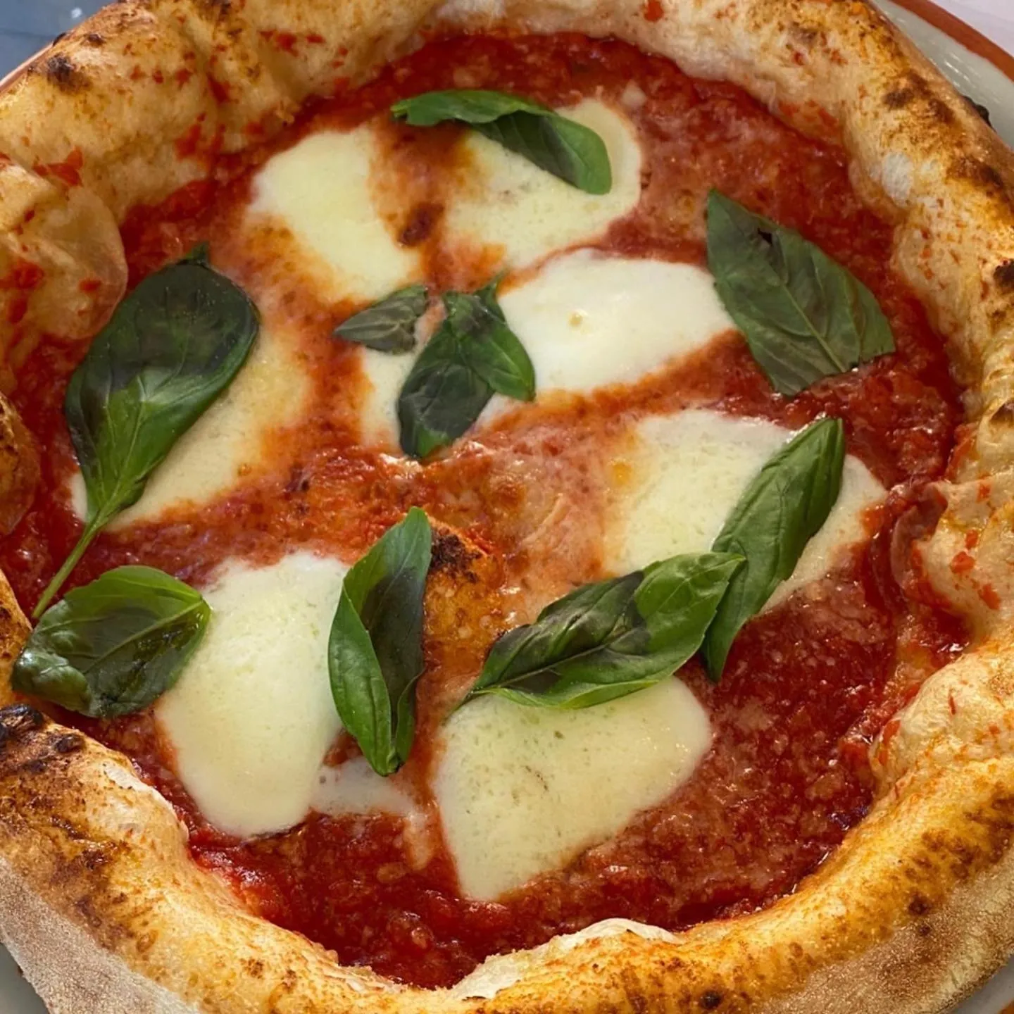 Bird's eye view in Casa Anita