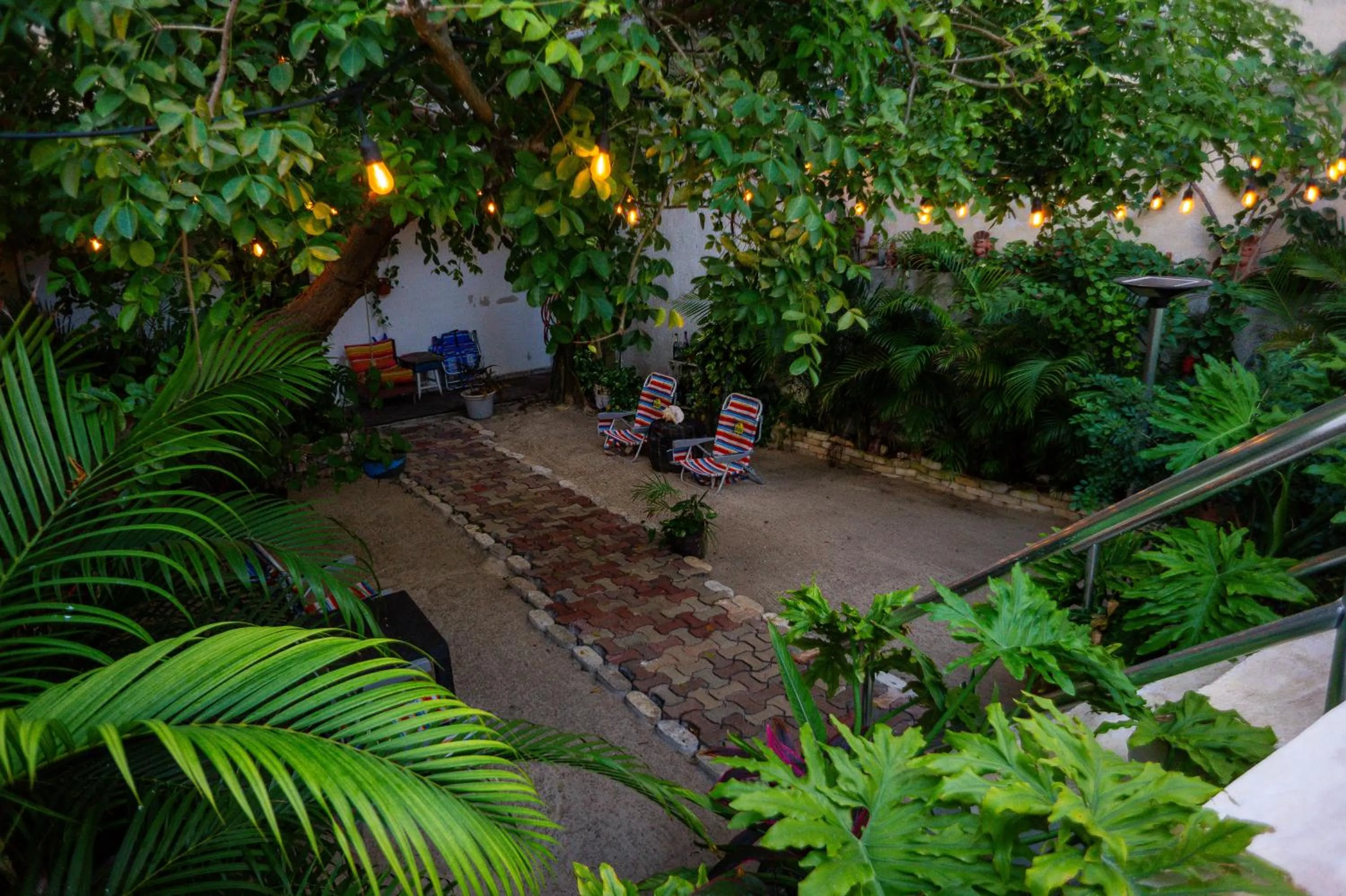 Garden view in Antillas