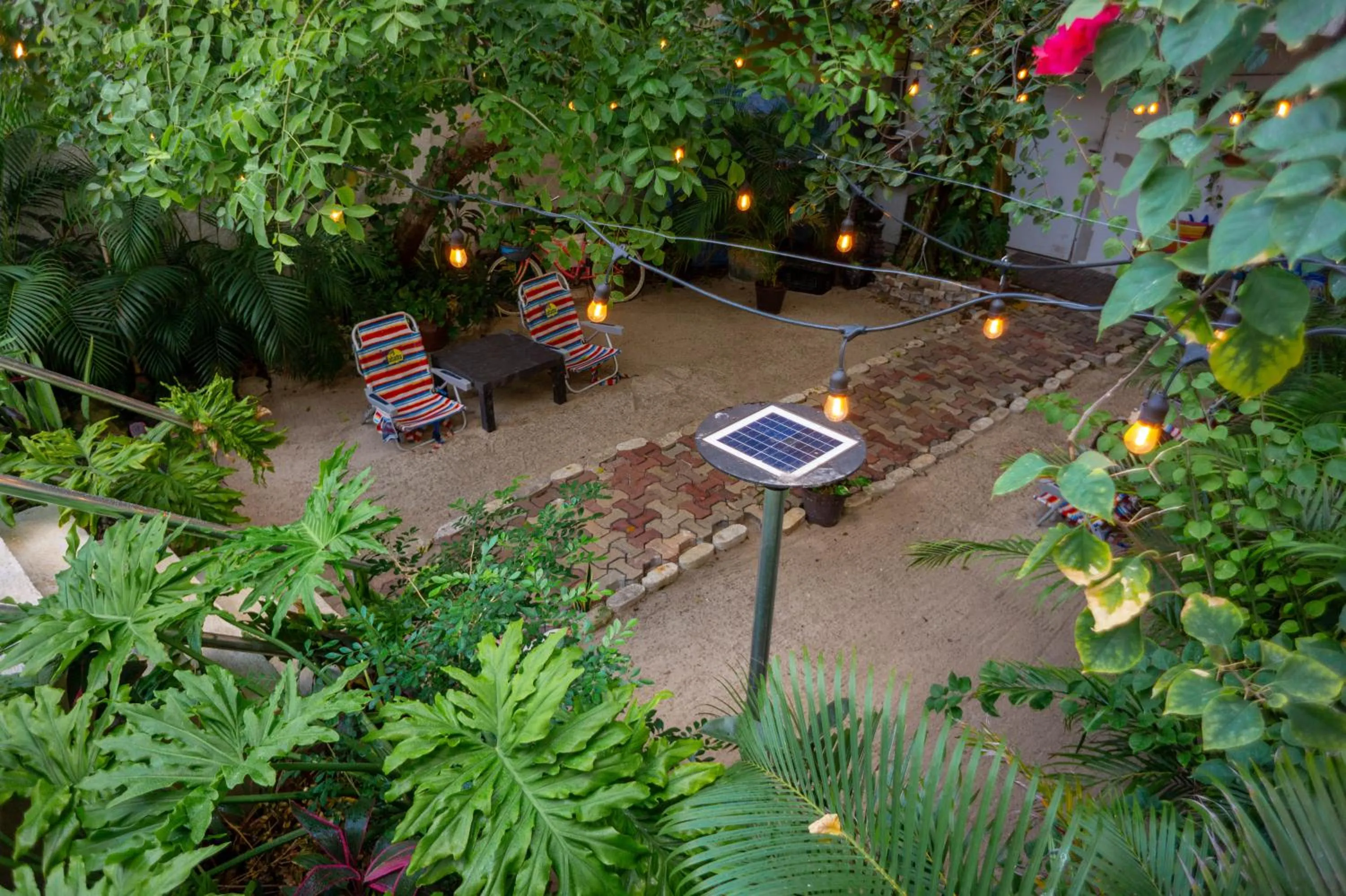 Garden view in Antillas