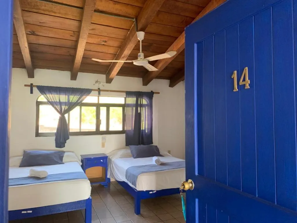 Photo of the whole room in MayFlower Hotel & Hostal