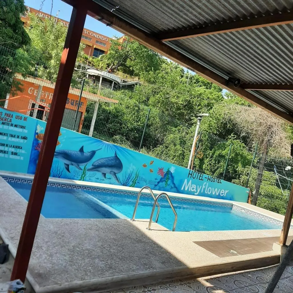 Pool view in MayFlower Hotel & Hostal