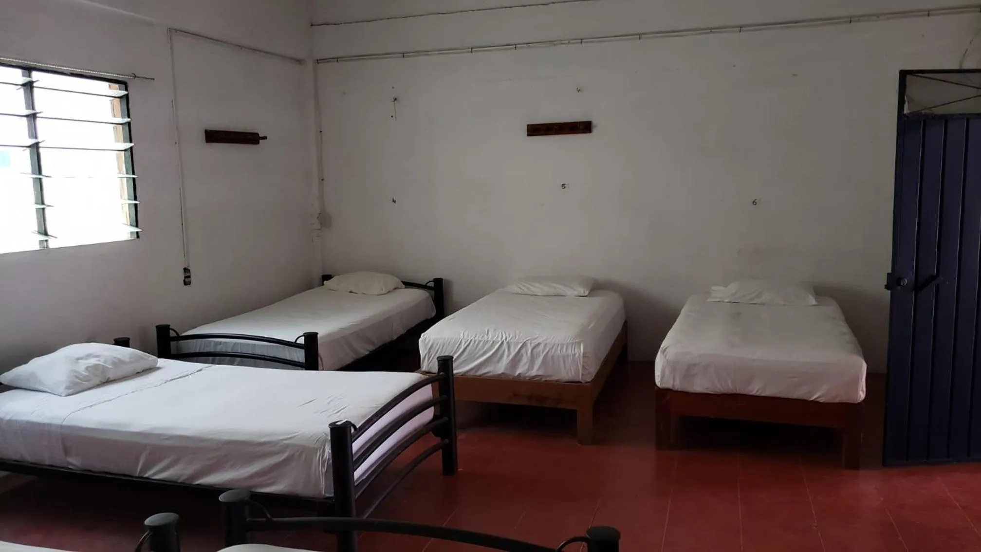 Photo of the whole room in MayFlower Hotel & Hostal