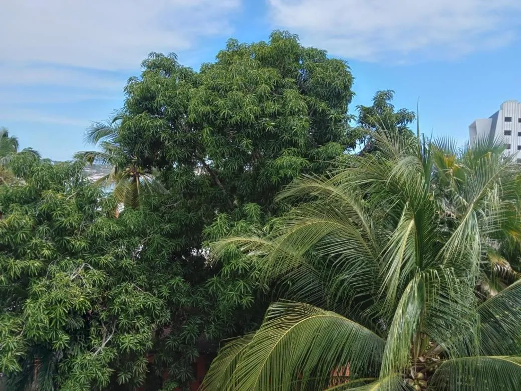 Sea view in MayFlower Hotel & Hostal