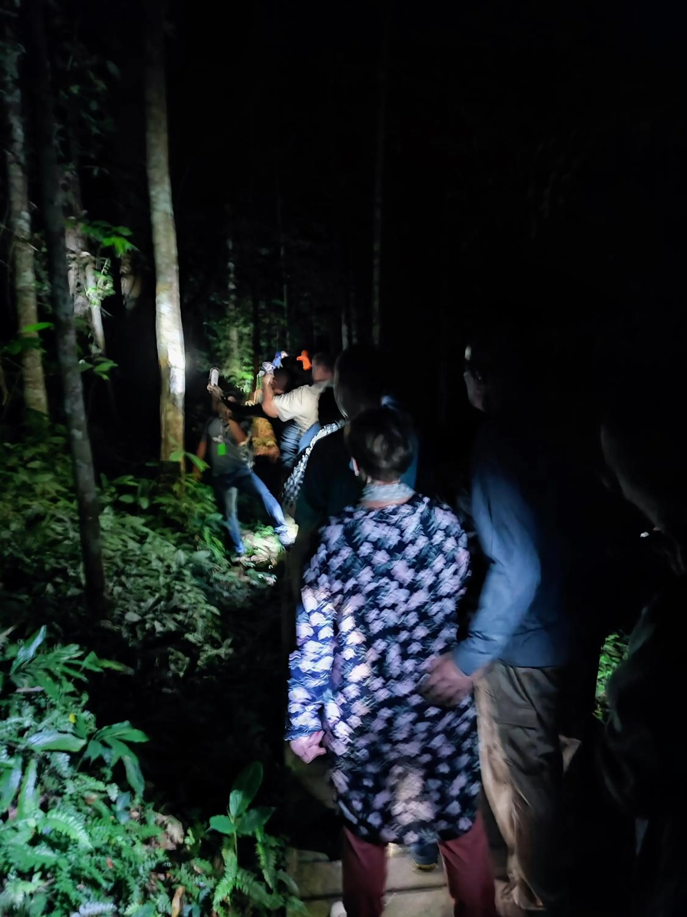 Tekoma Resort Taman Negara