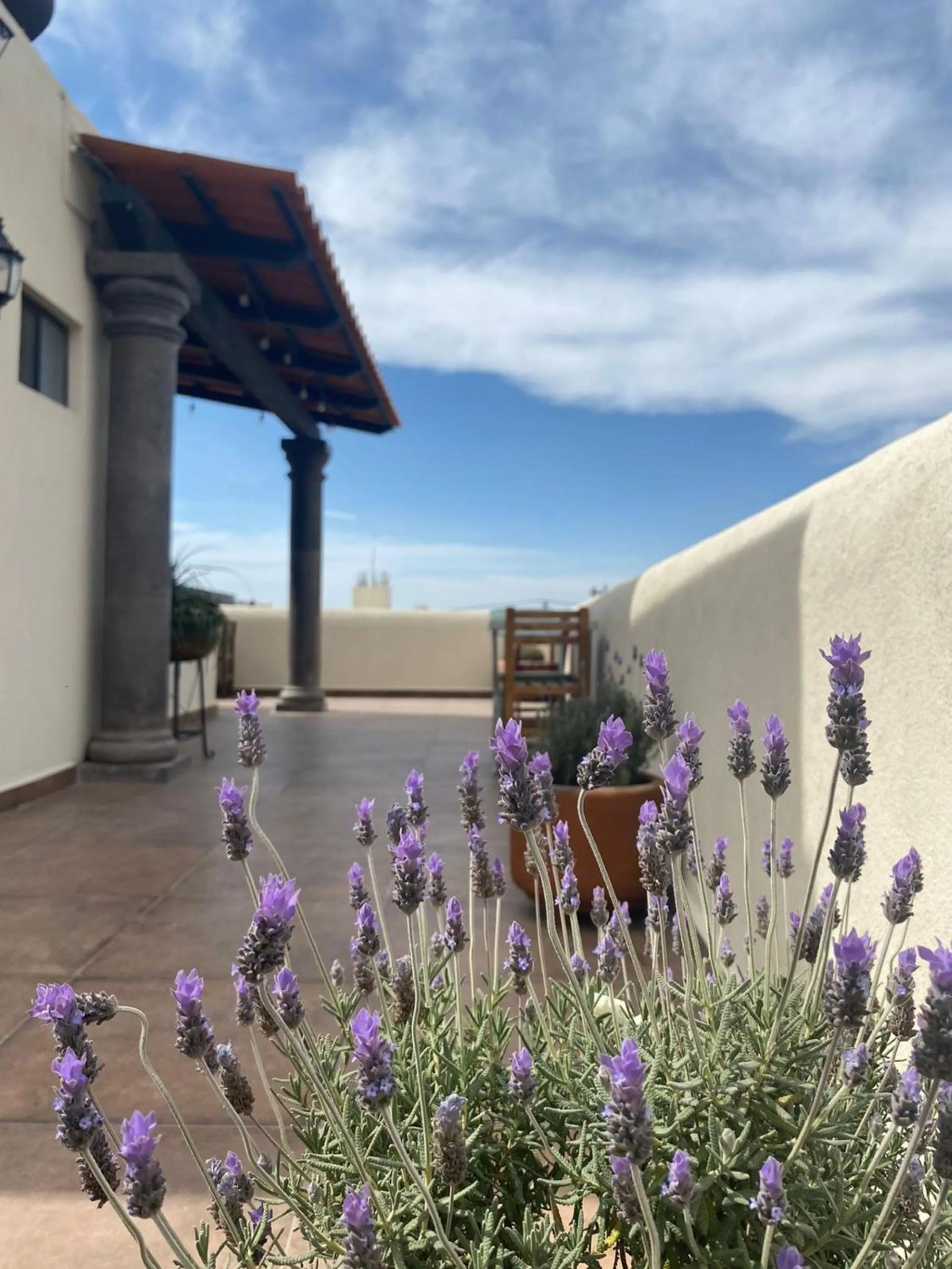 Balcony/Terrace in Hotel La Lejona