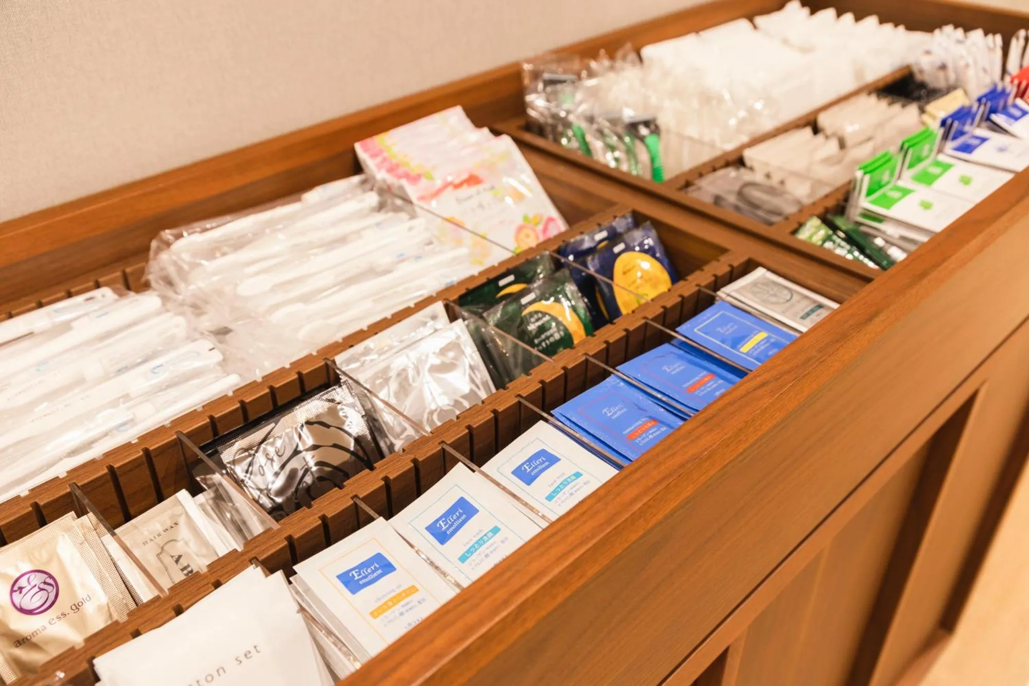 Sotetsu Grand Fresa Kumamoto