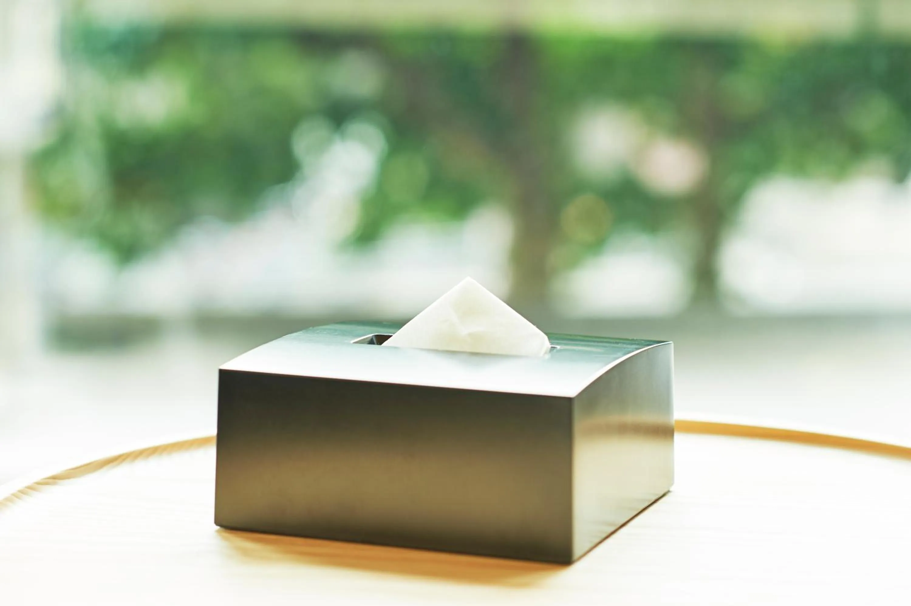 Sotetsu Grand Fresa Kumamoto