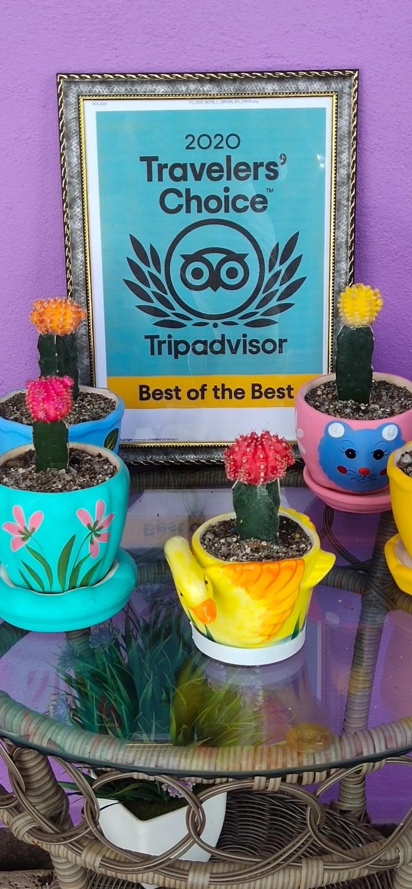 Certificate/Award in OCEAN LODGE