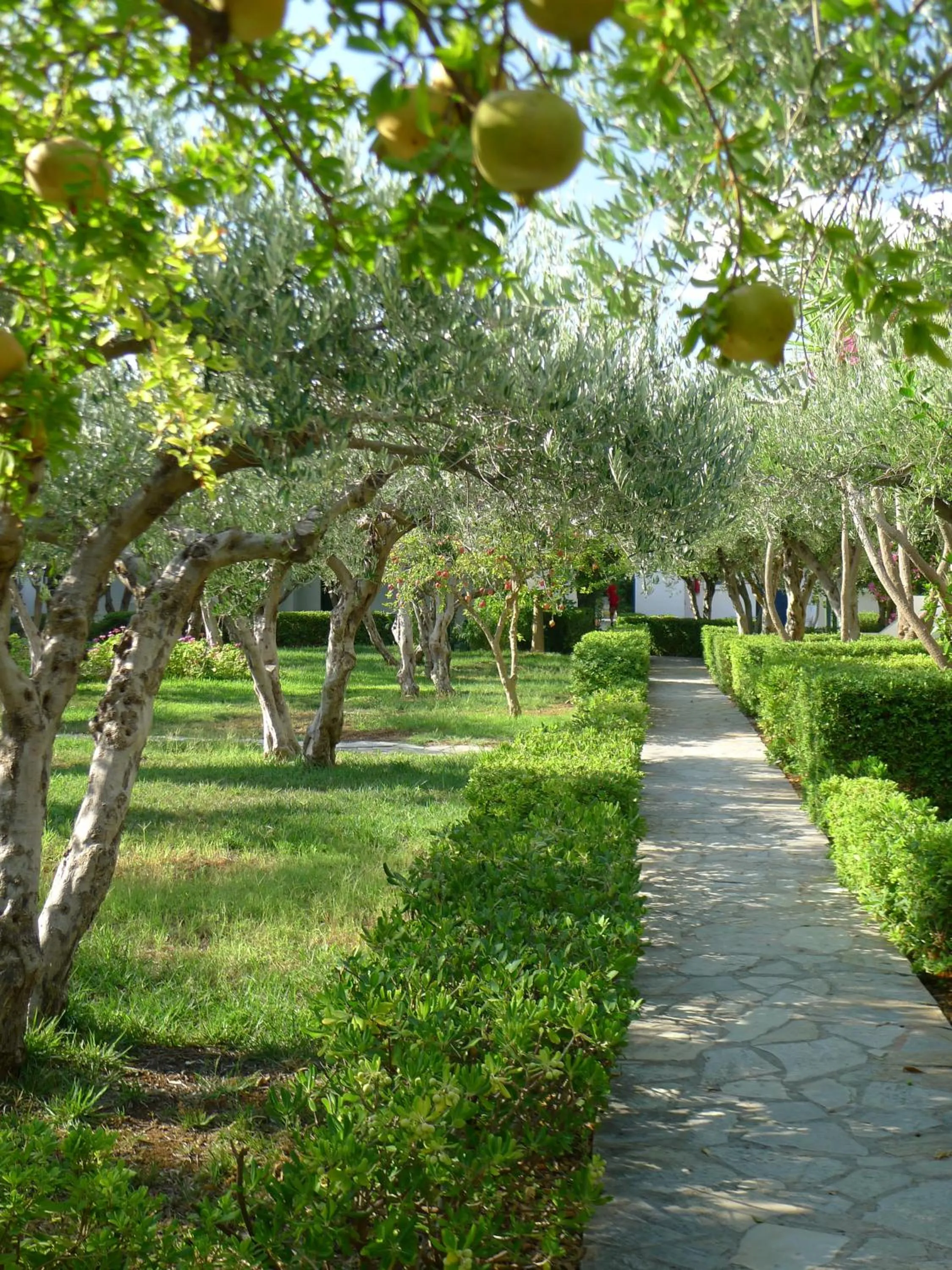 Garden in Villea Village