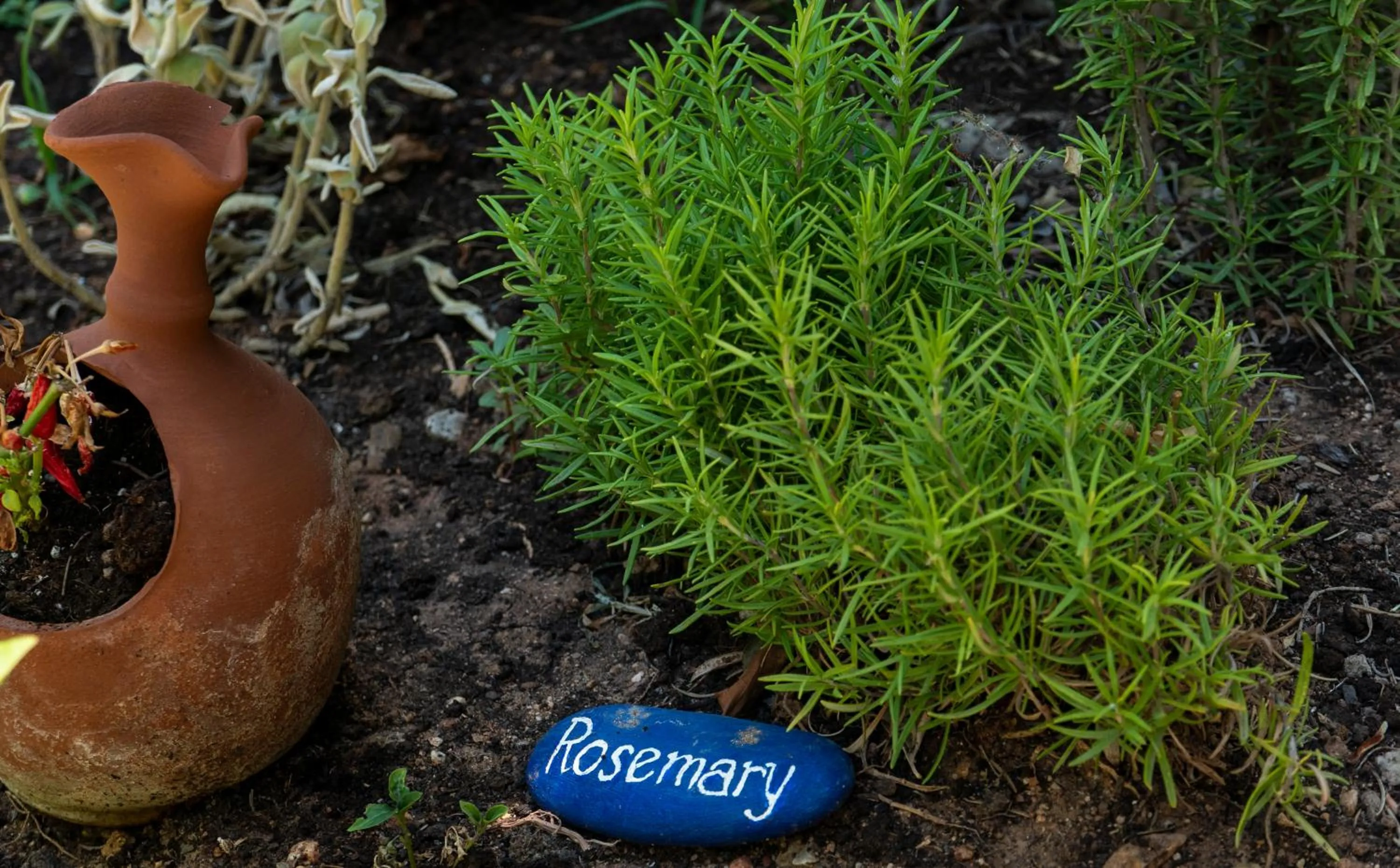 Property building in Villea Village