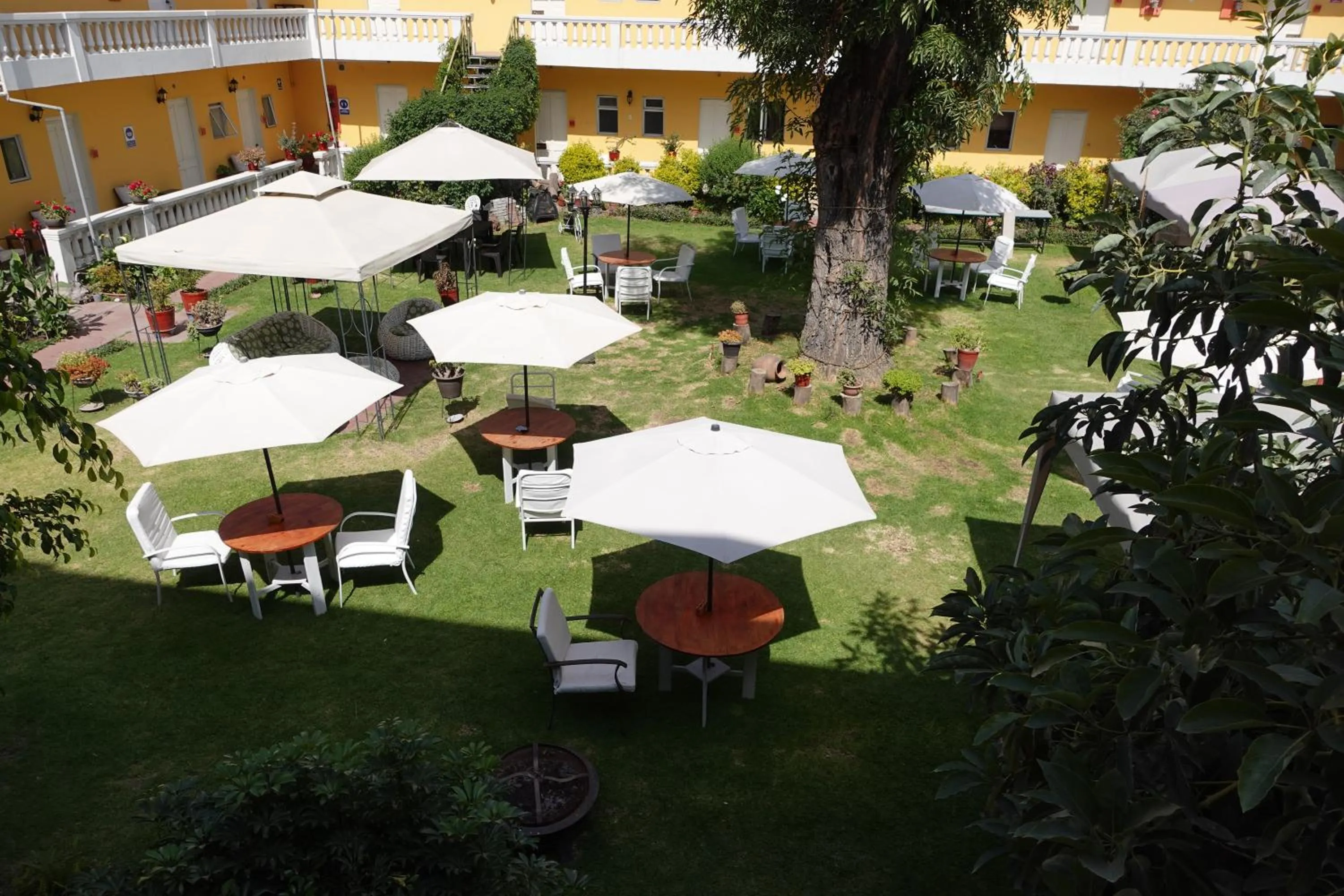 Garden in Casa de Avila