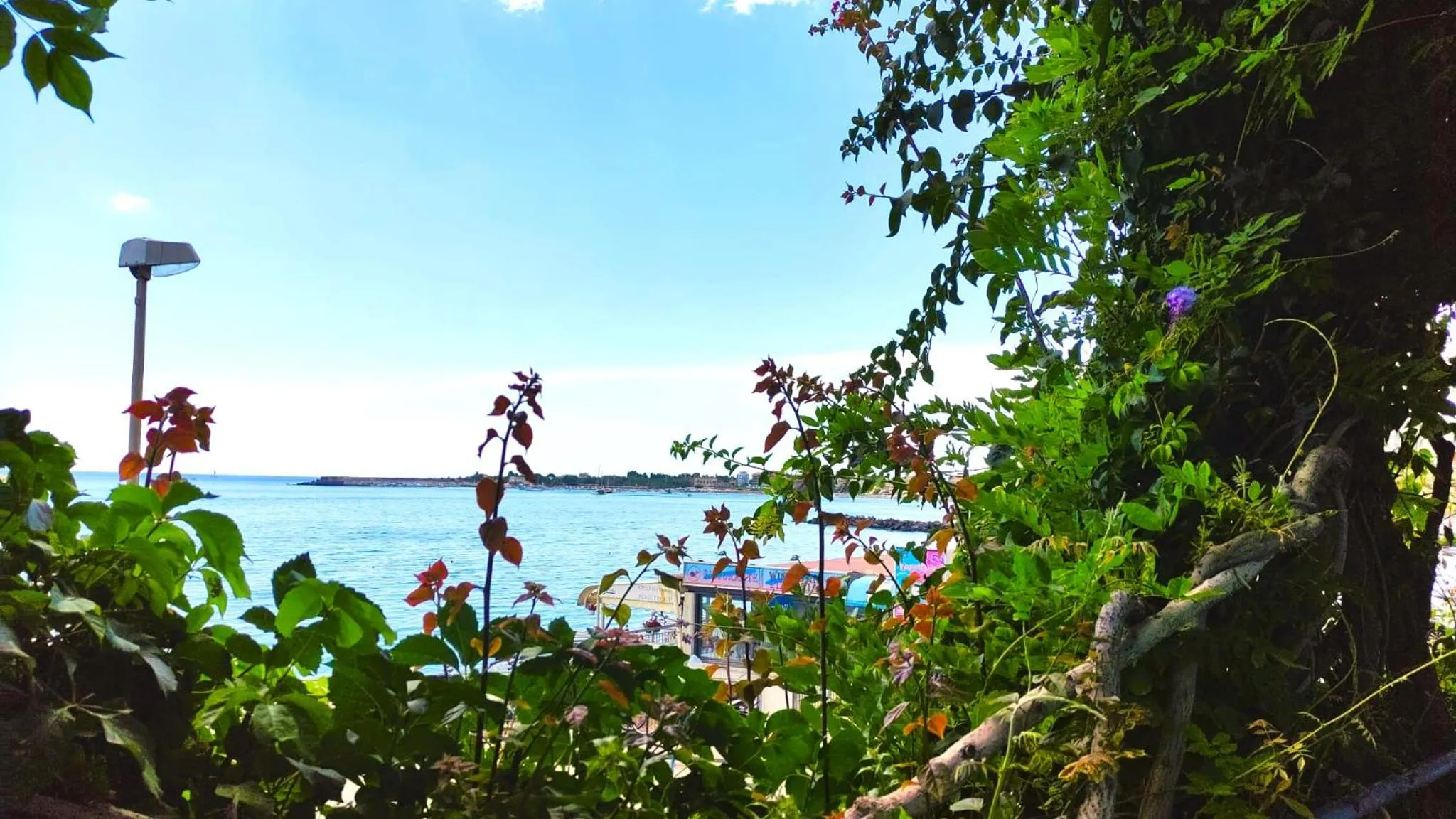 Natural landscape in Hotel Palladio