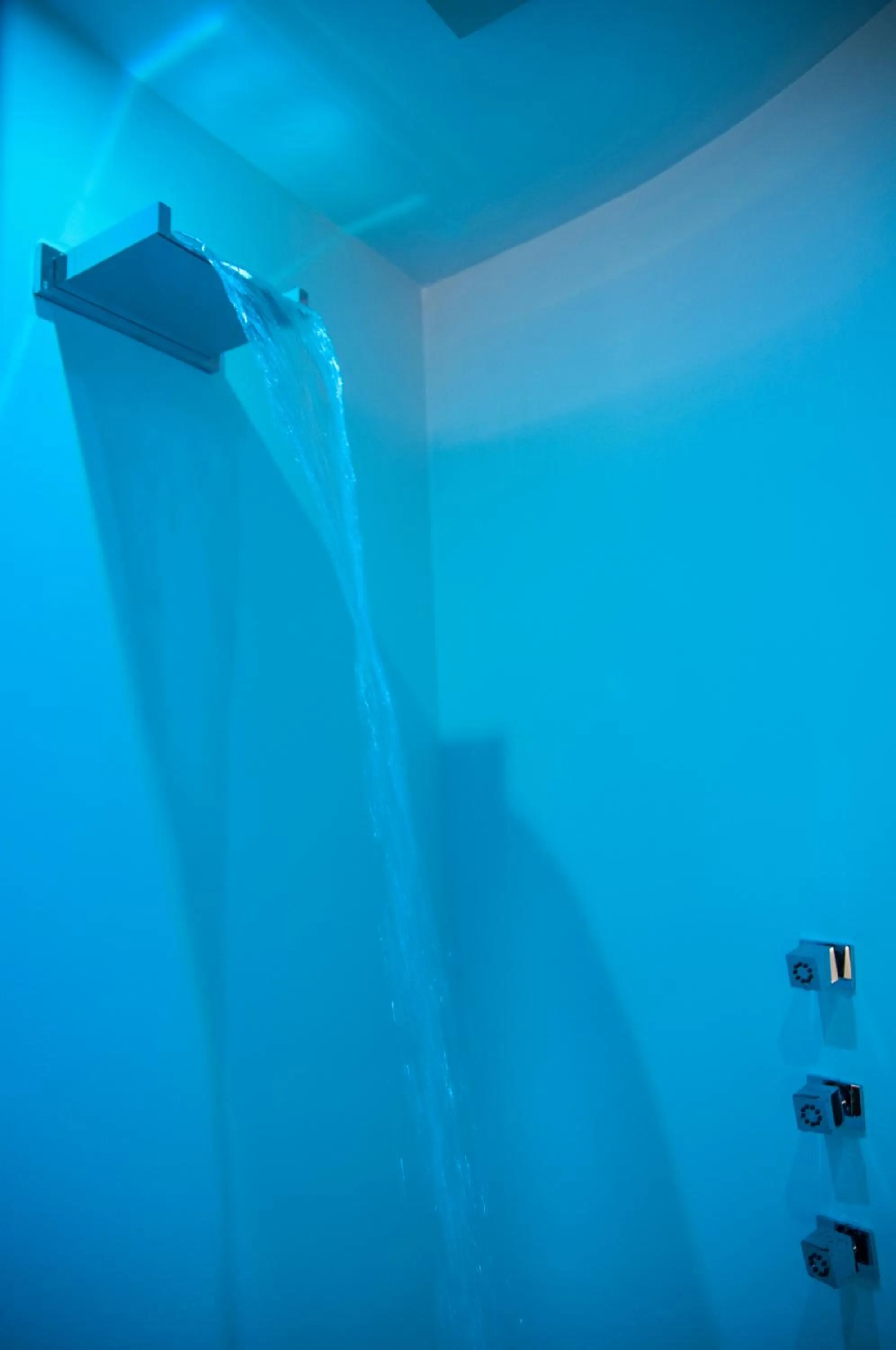 Natural landscape in Hotel Palladio