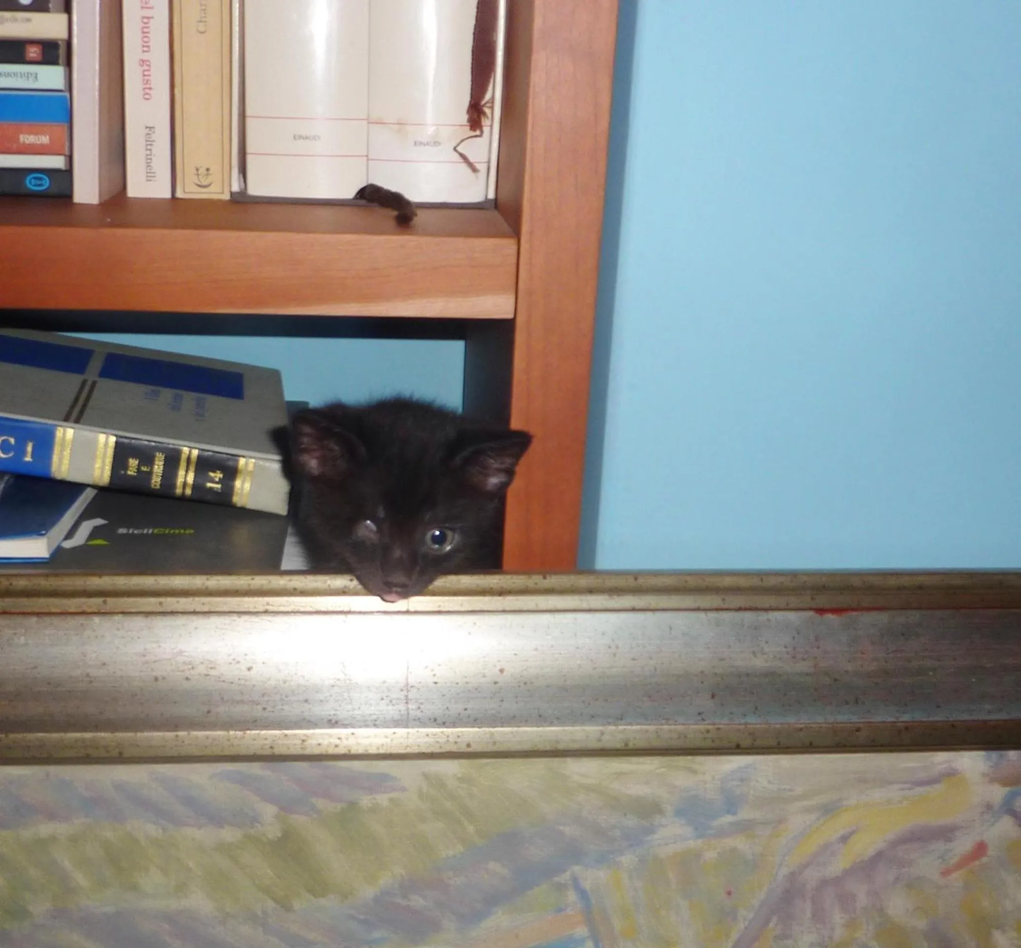 Other in Hotel Palladio