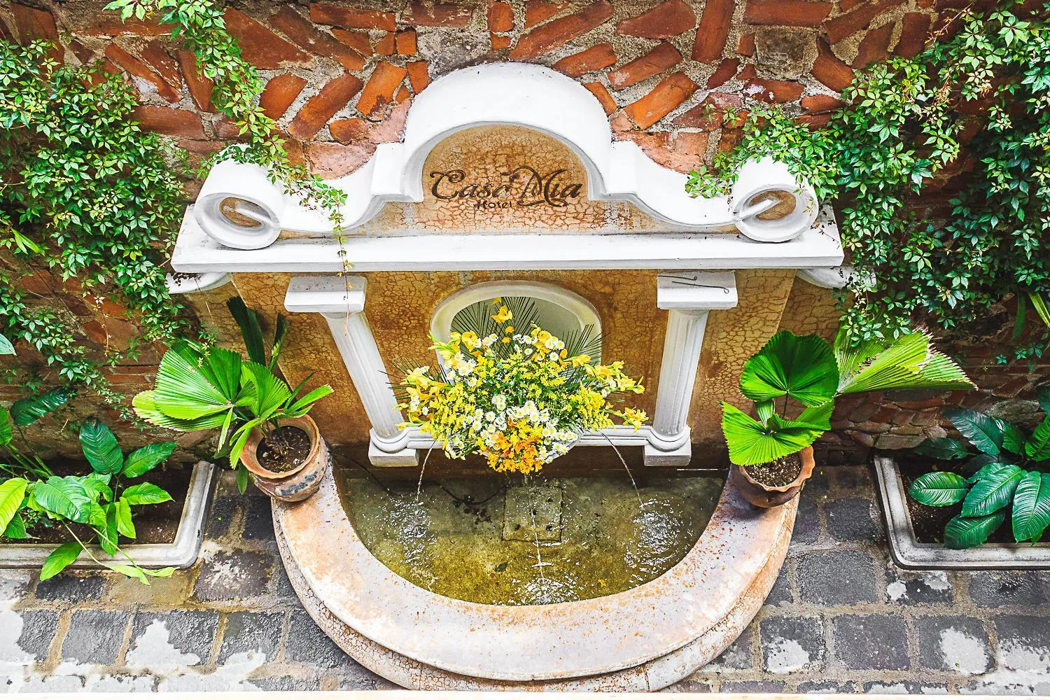 Bird's eye view in Casa Mia Hotel