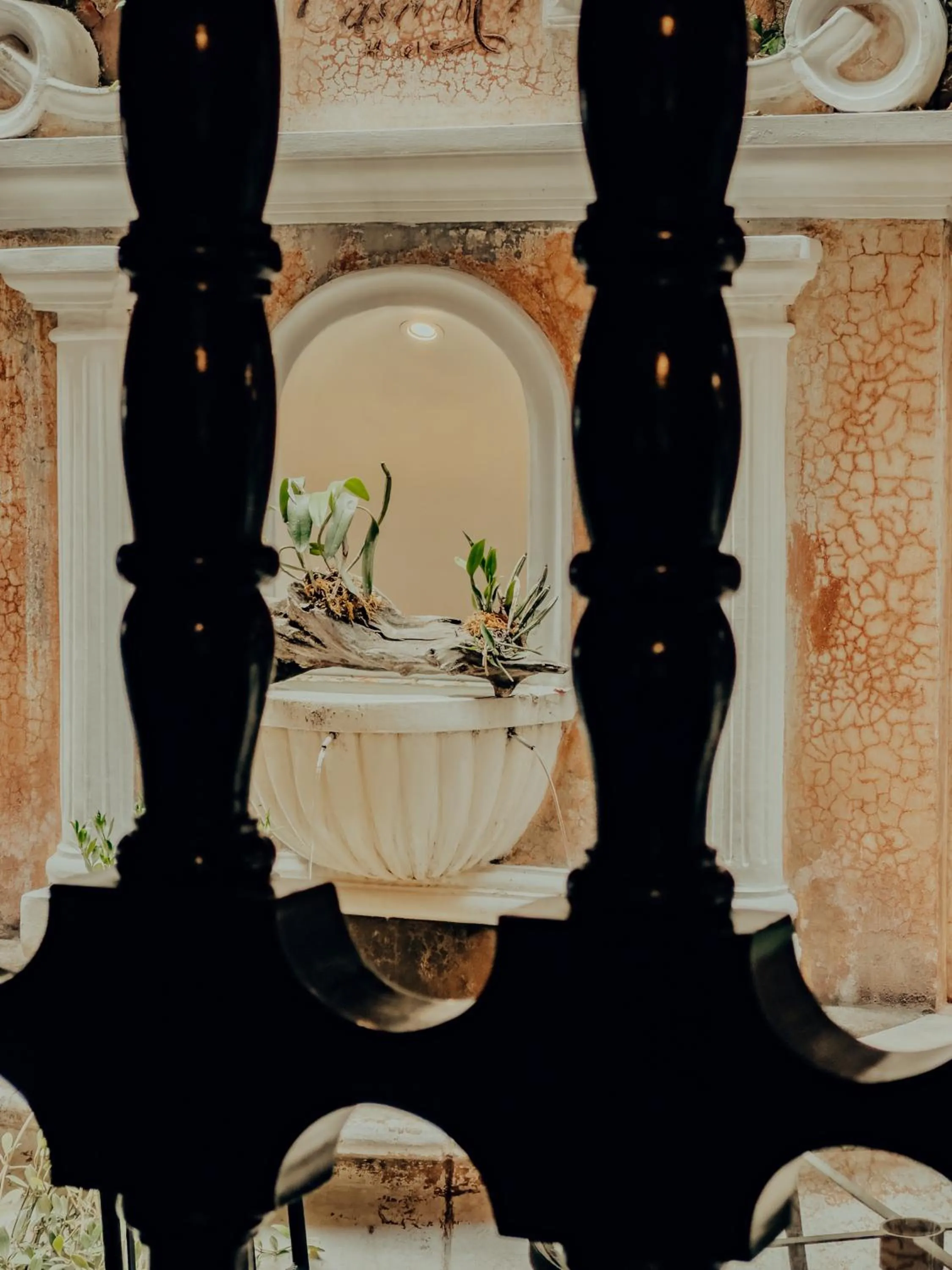 Decorative detail in Casa Mia Hotel